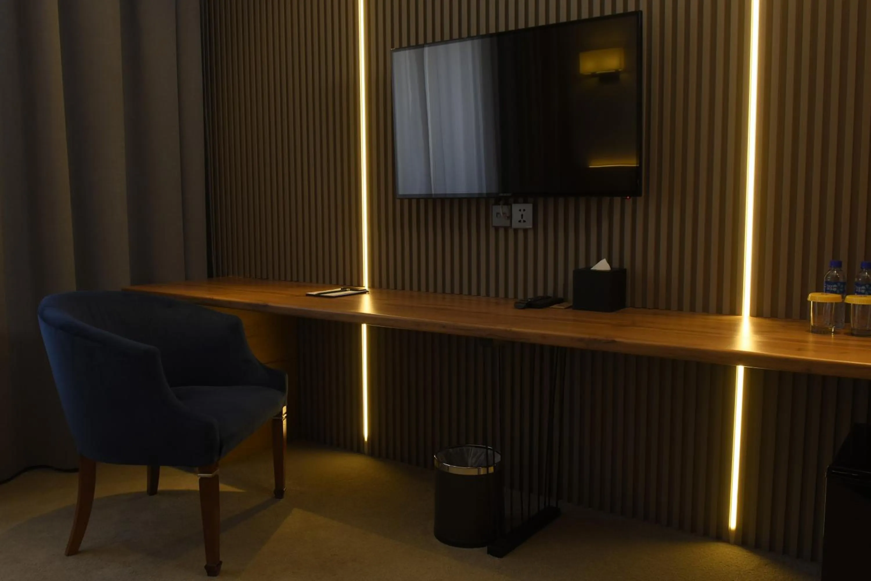 TV and multimedia in Ulaanbaatar Hotel