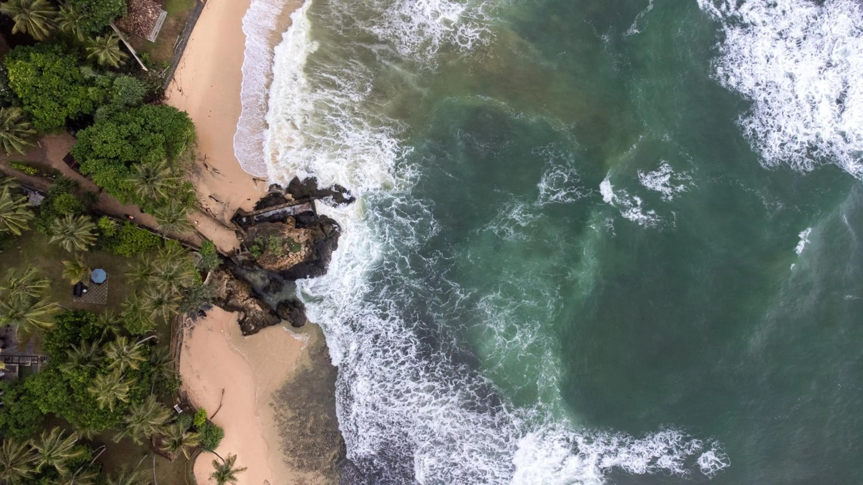 Natural landscape in New Wave Beach Resort Unawatuna