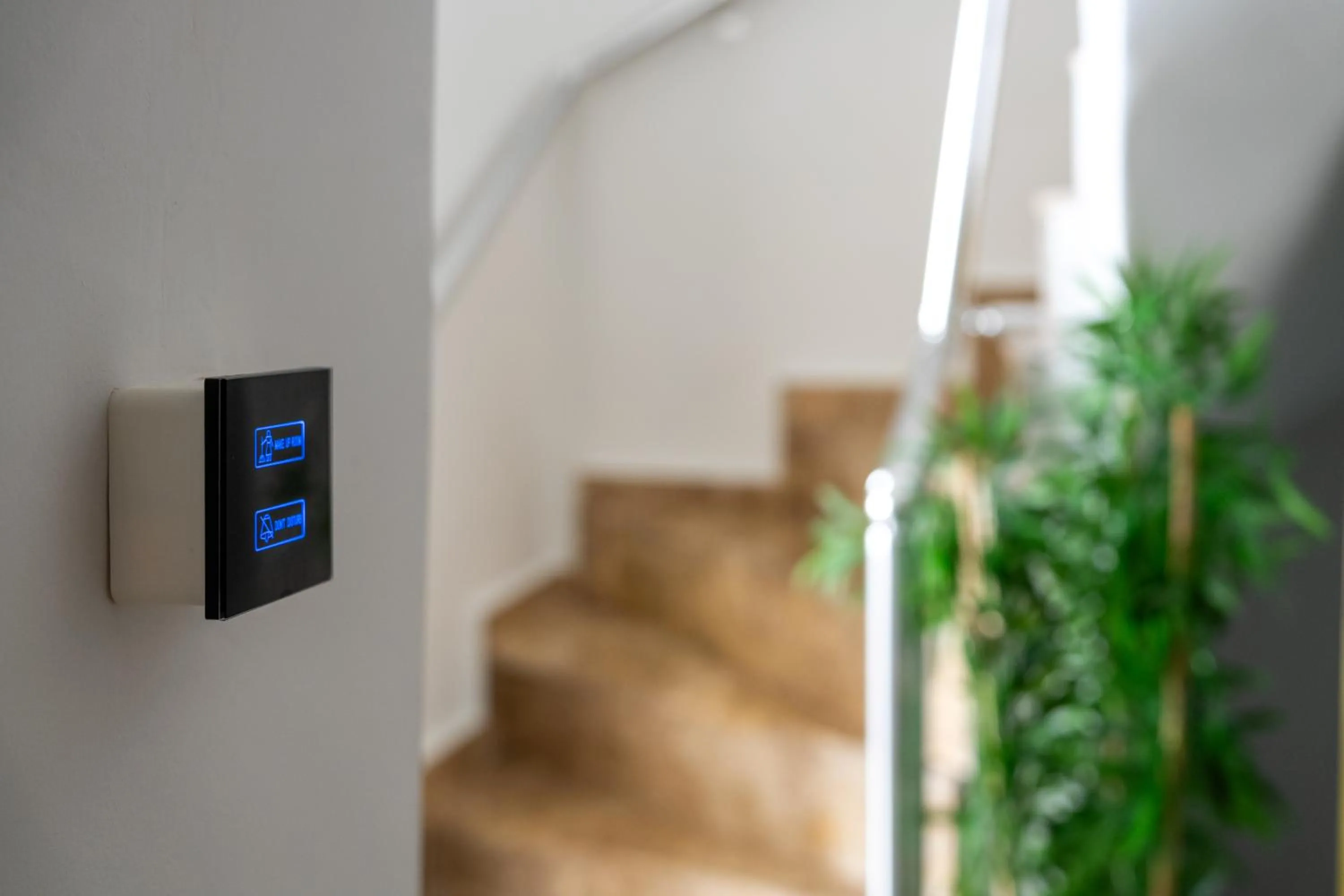 Decorative detail in Sorta Hotel