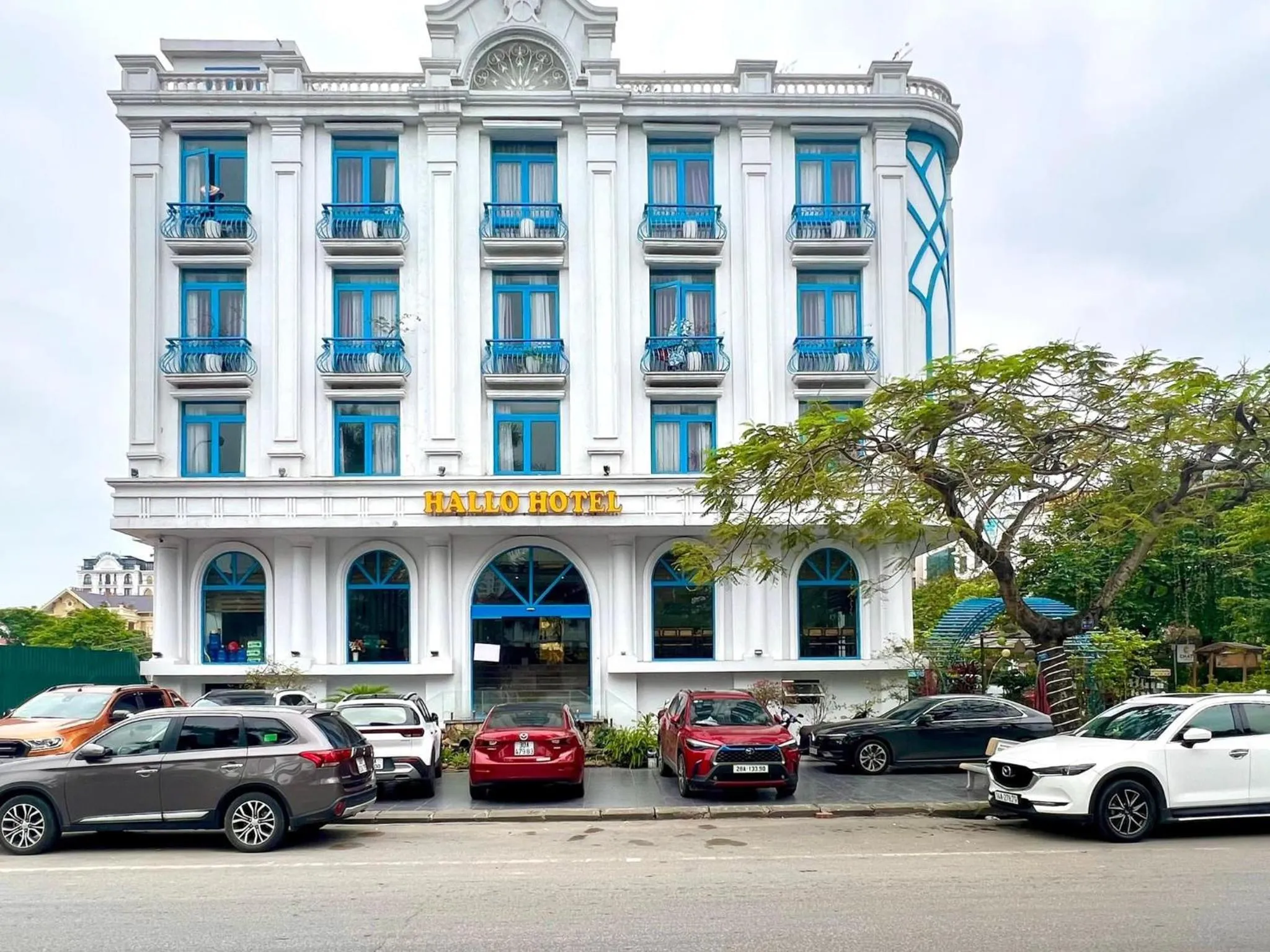 Twin Room - single occupancy in Hallo Hotel