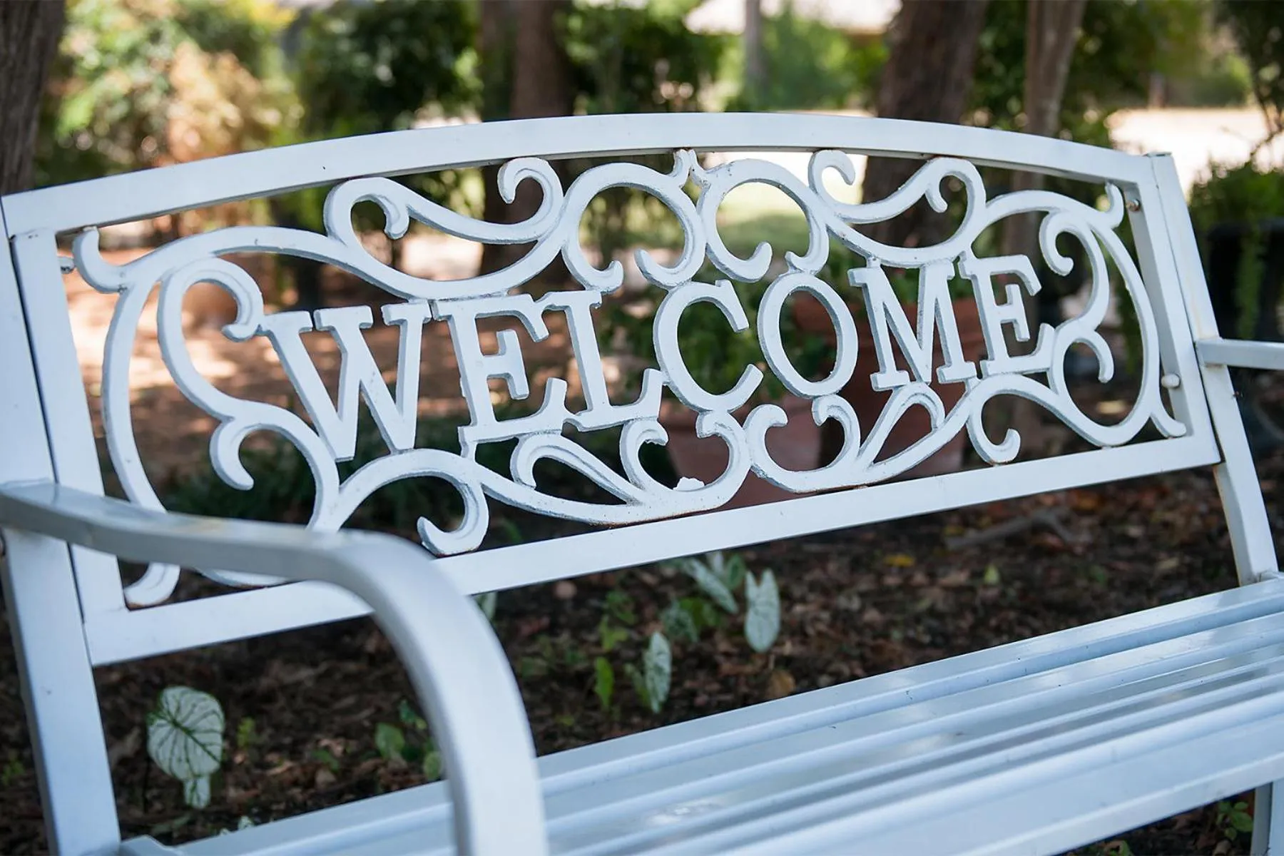 Sandstone Street Bed and Breakfast