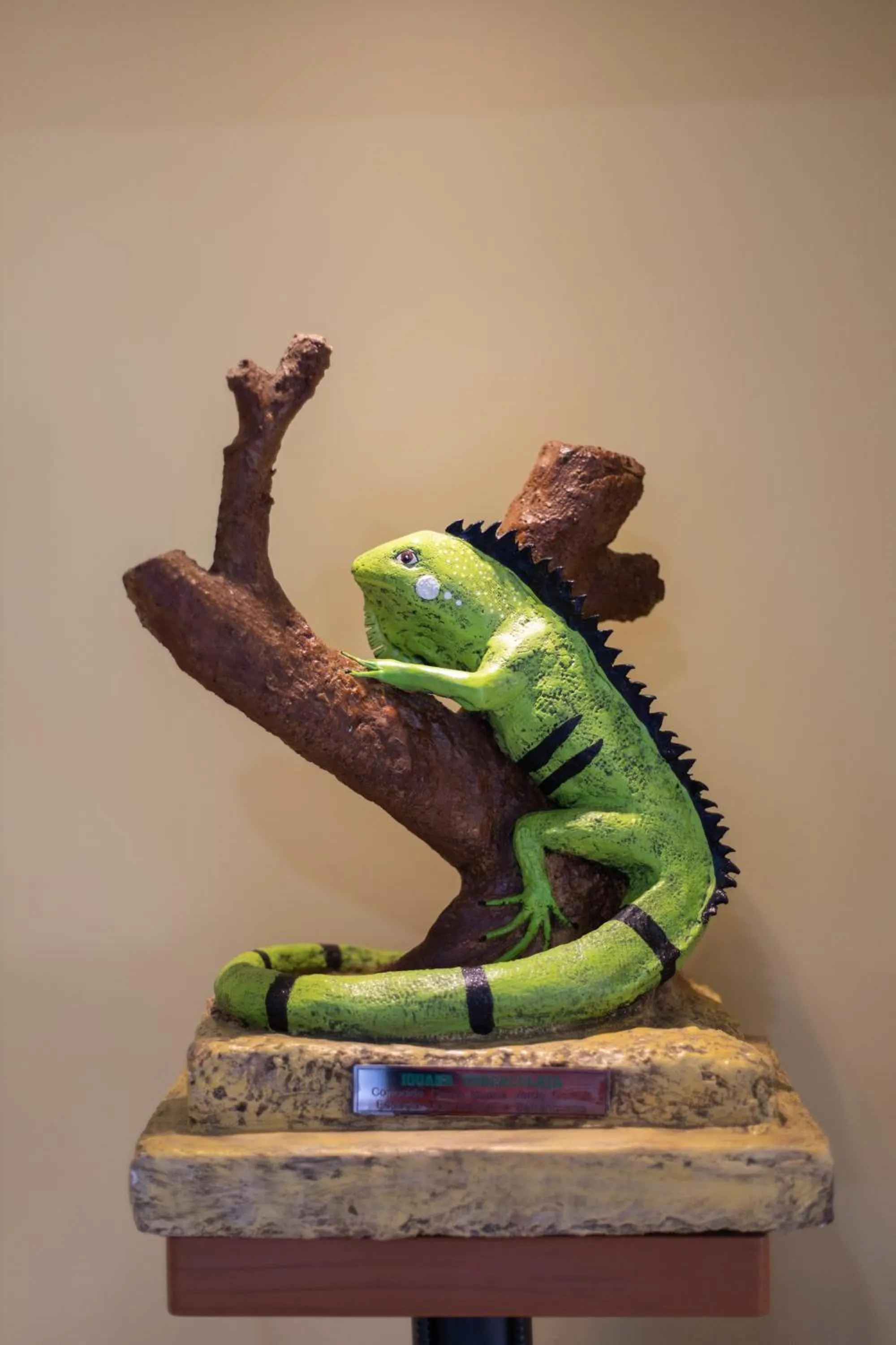 Entertainment in Hotel San Carlos