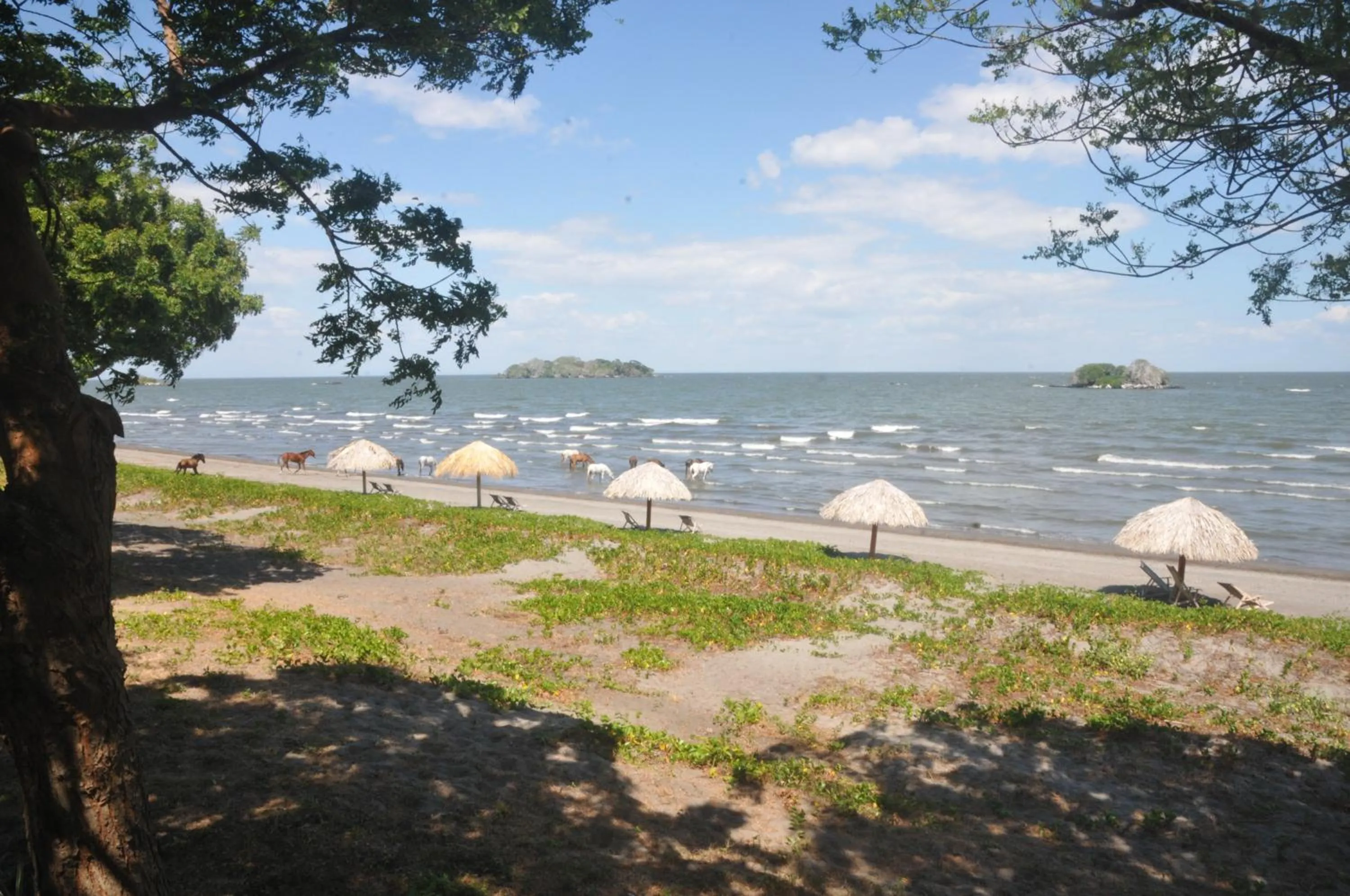 Beach in Hotel San Juan Ometepe