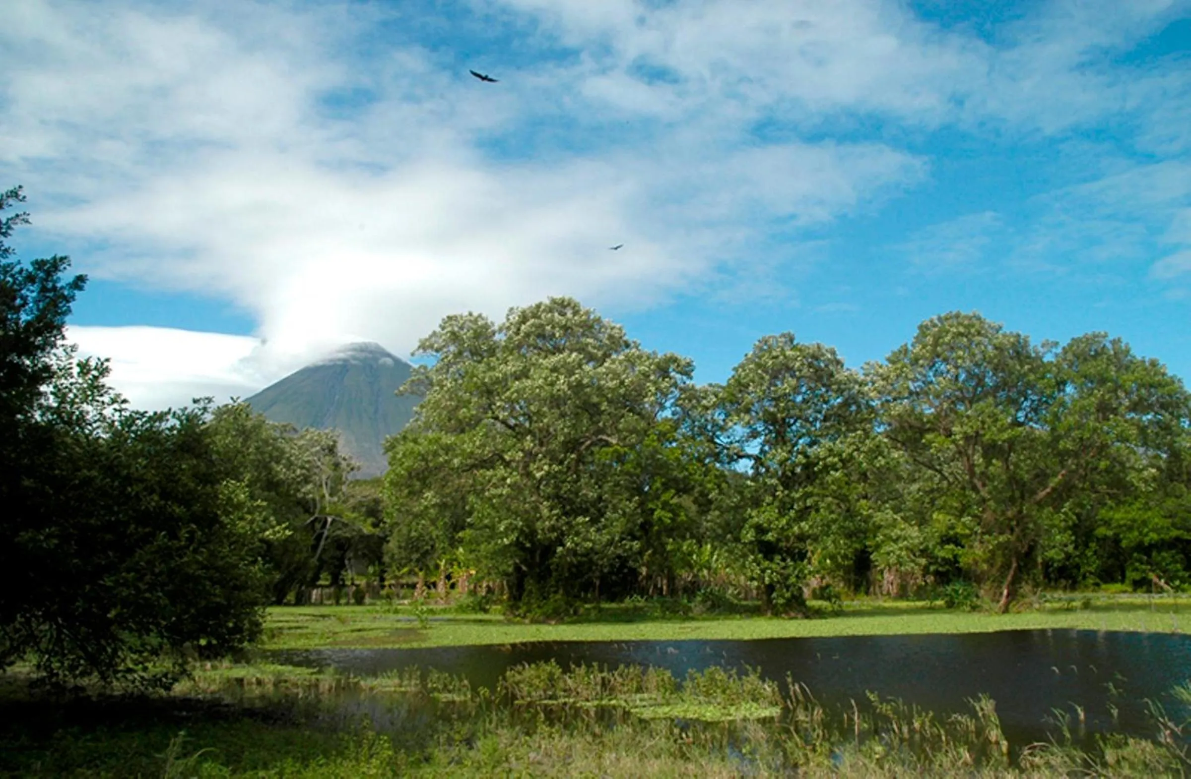 View (from property/room) in Hotel San Juan Ometepe