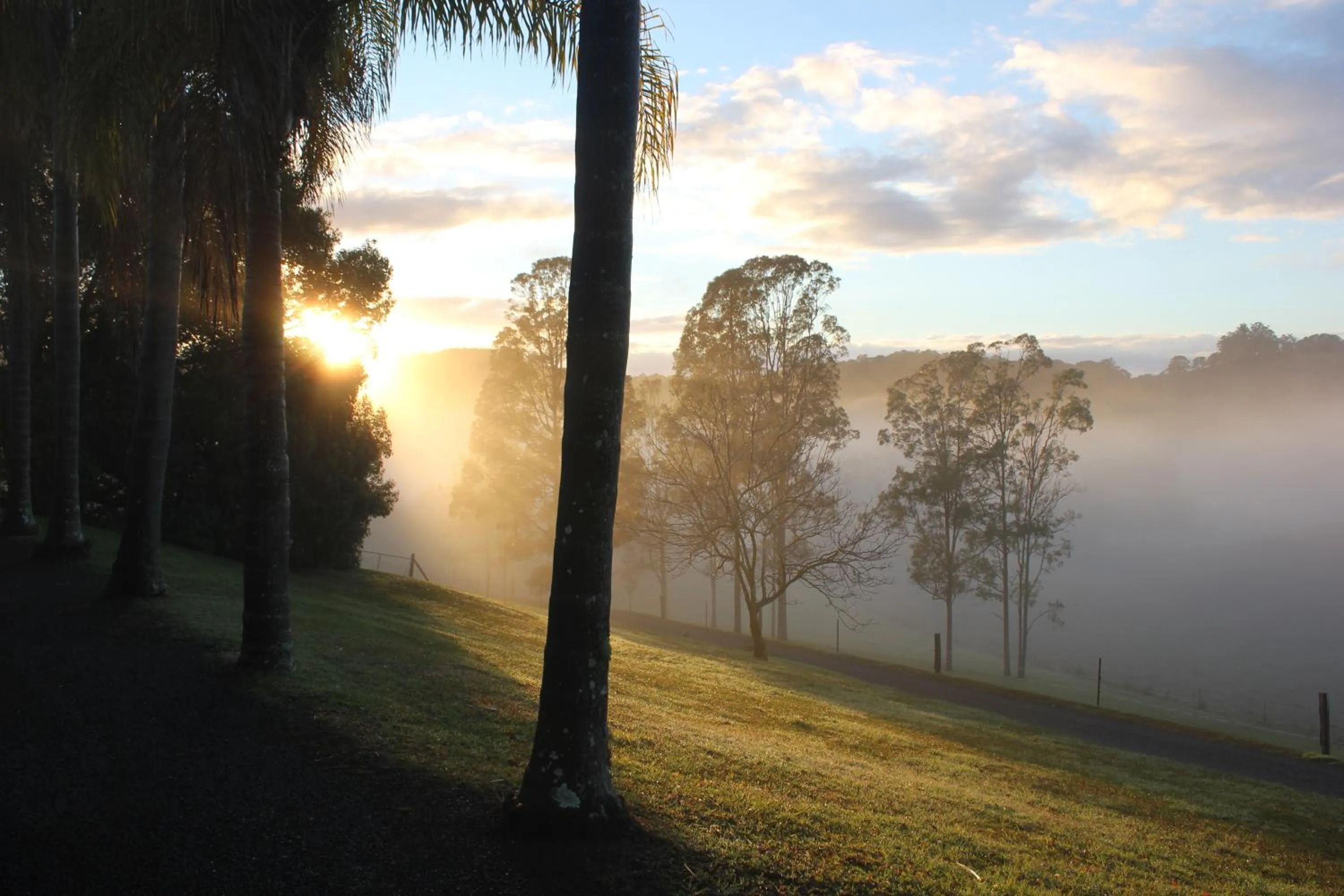 Garden view in Hillcrest Mountain View Retreat