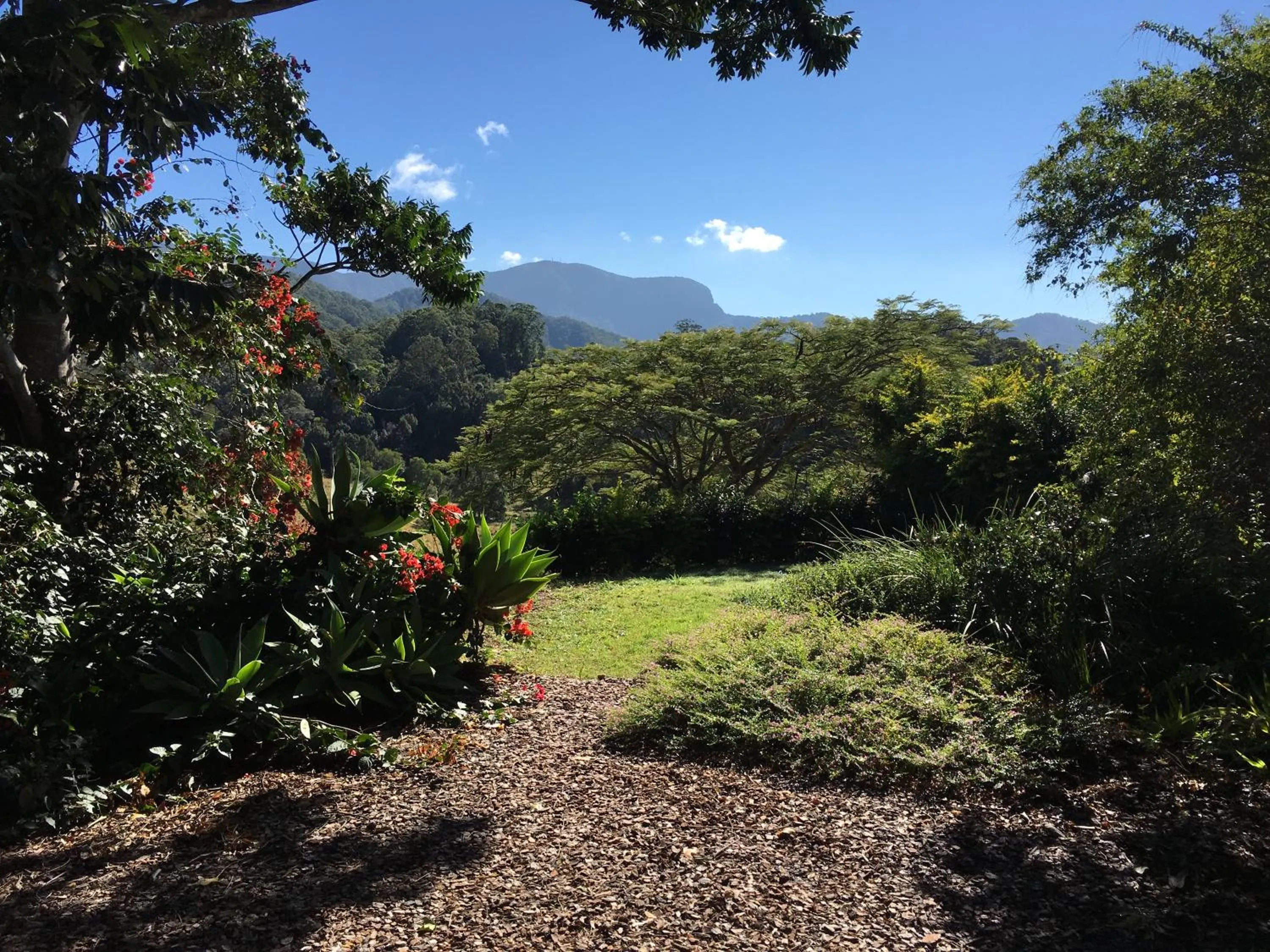 Garden view in Hillcrest Mountain View Retreat