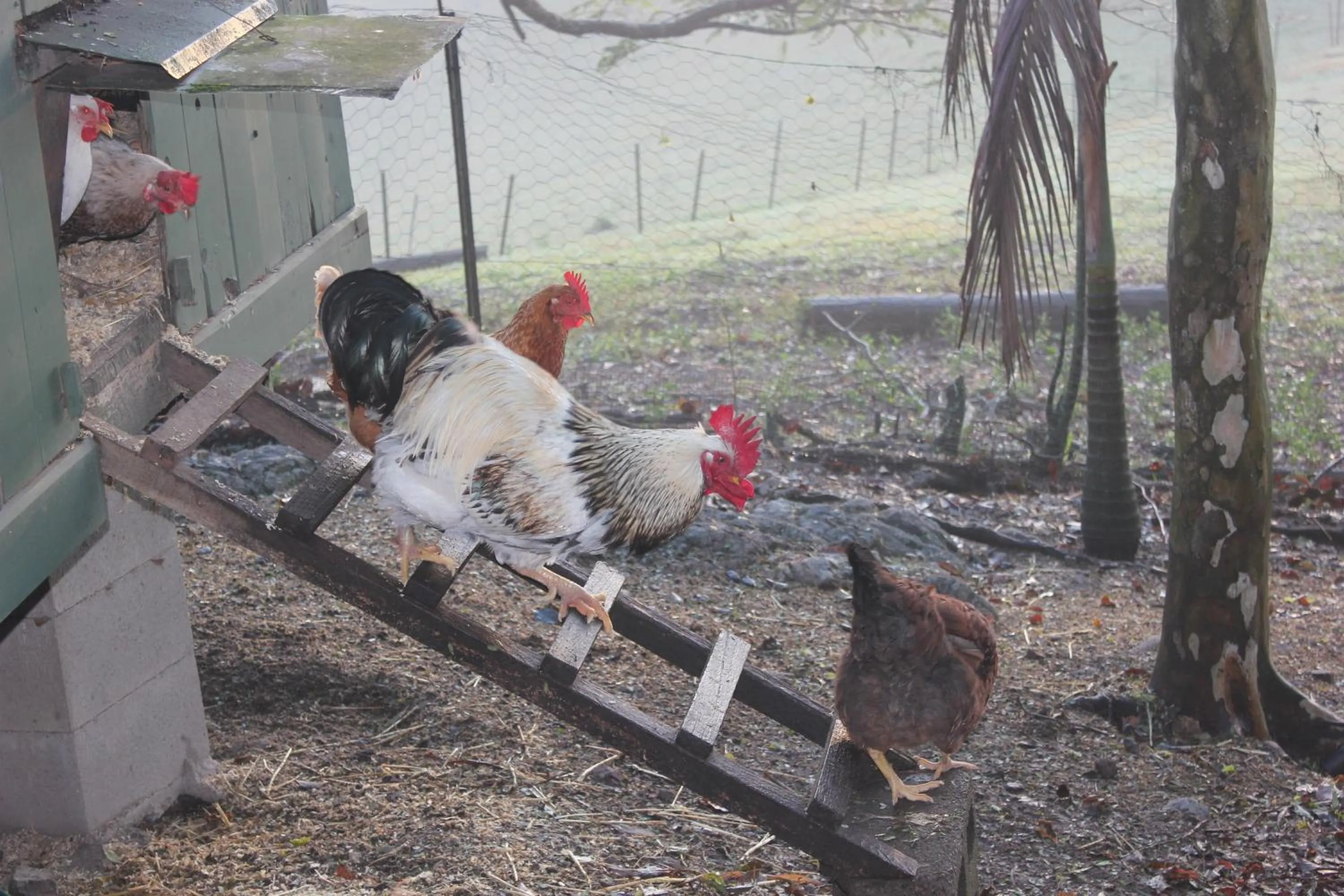 Other in Hillcrest Mountain View Retreat