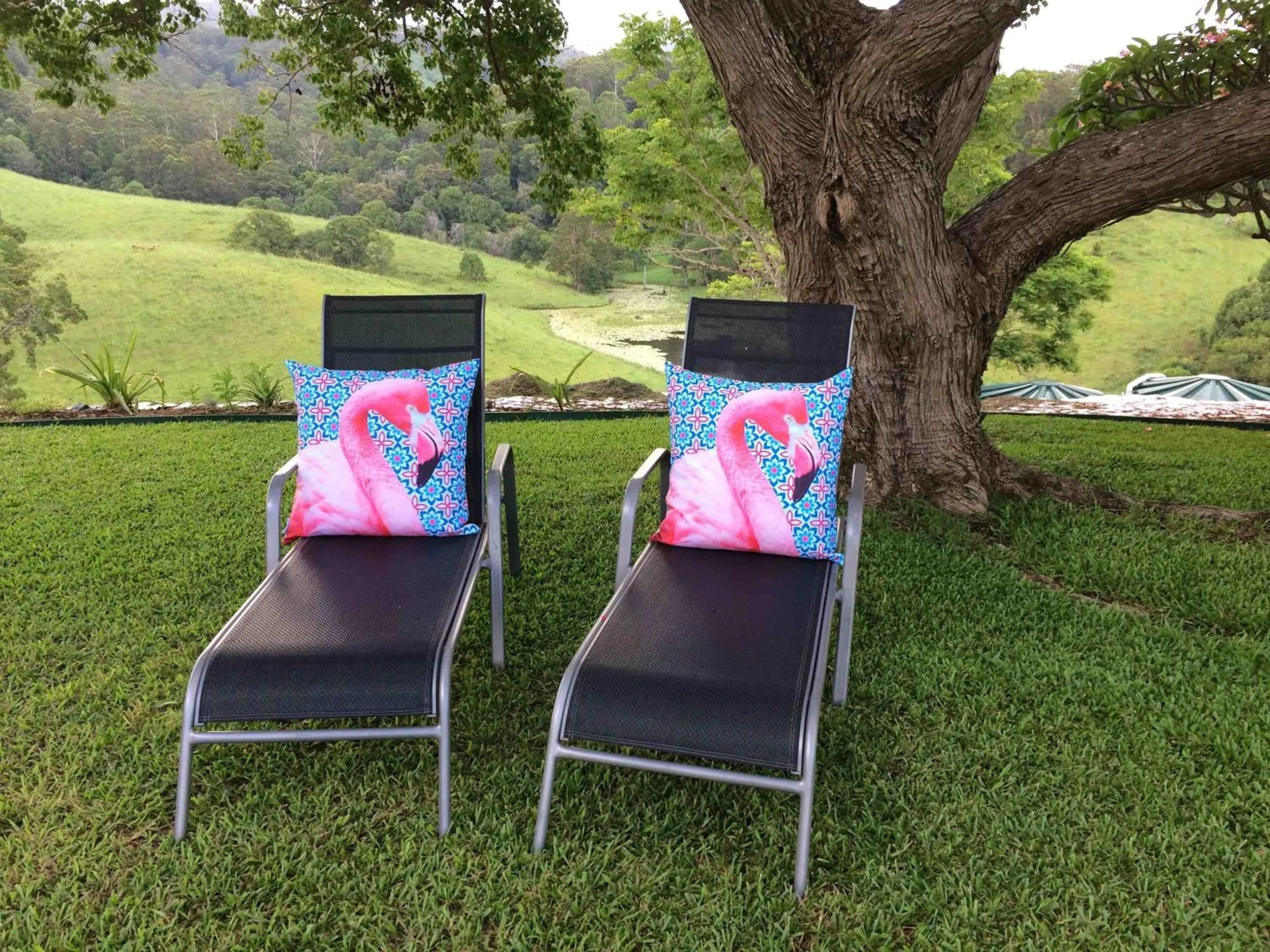 Garden in Hillcrest Mountain View Retreat