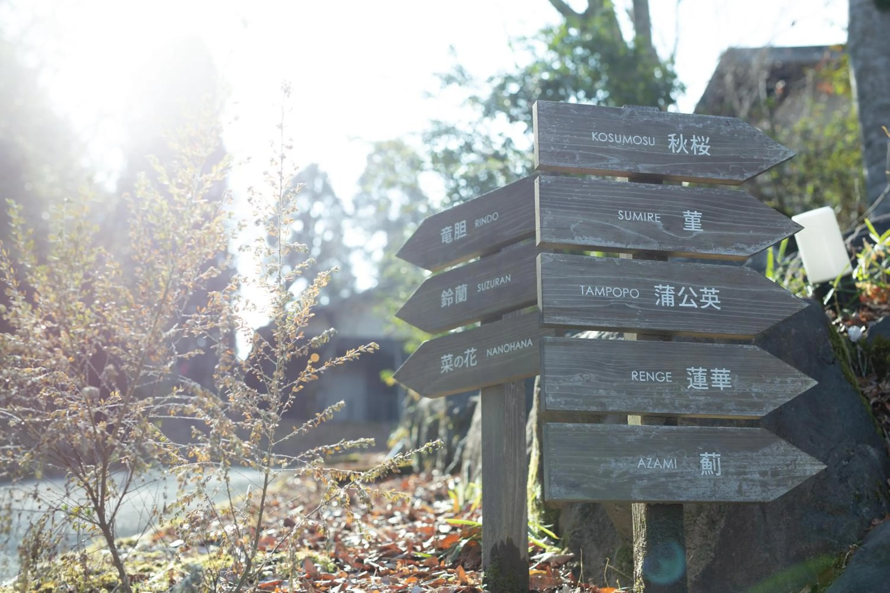 Day in Hanare no Yado Hanagokoro