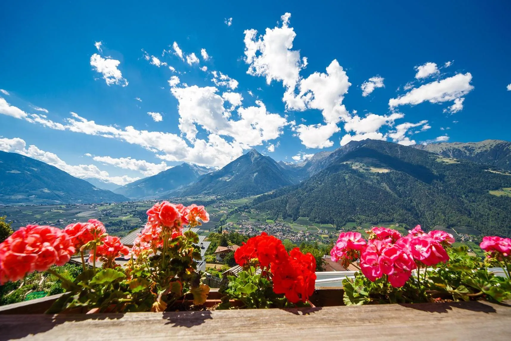 Mountain view in Family Hotel Gutenberg