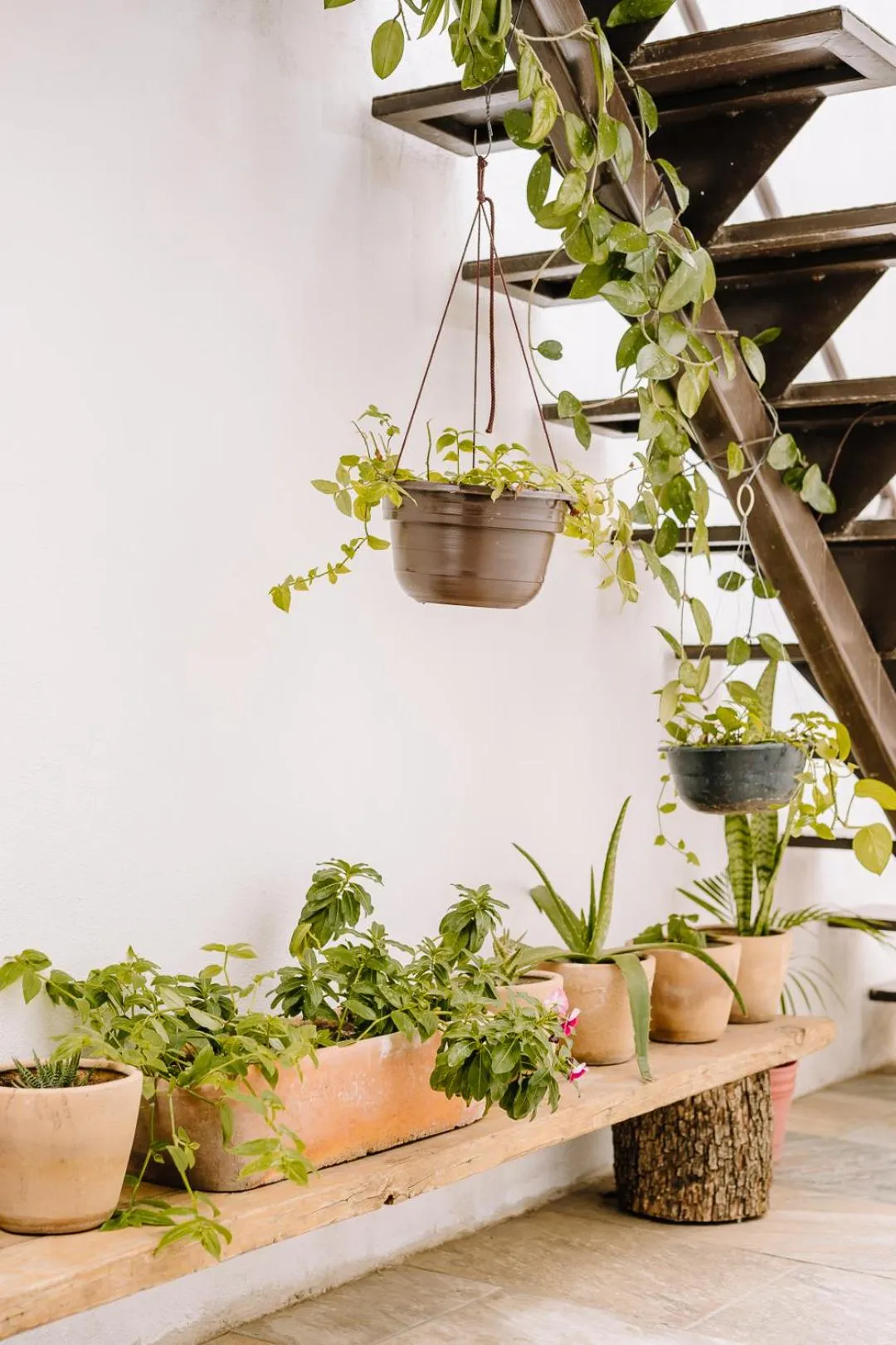 Garden view in La Casa Carlota