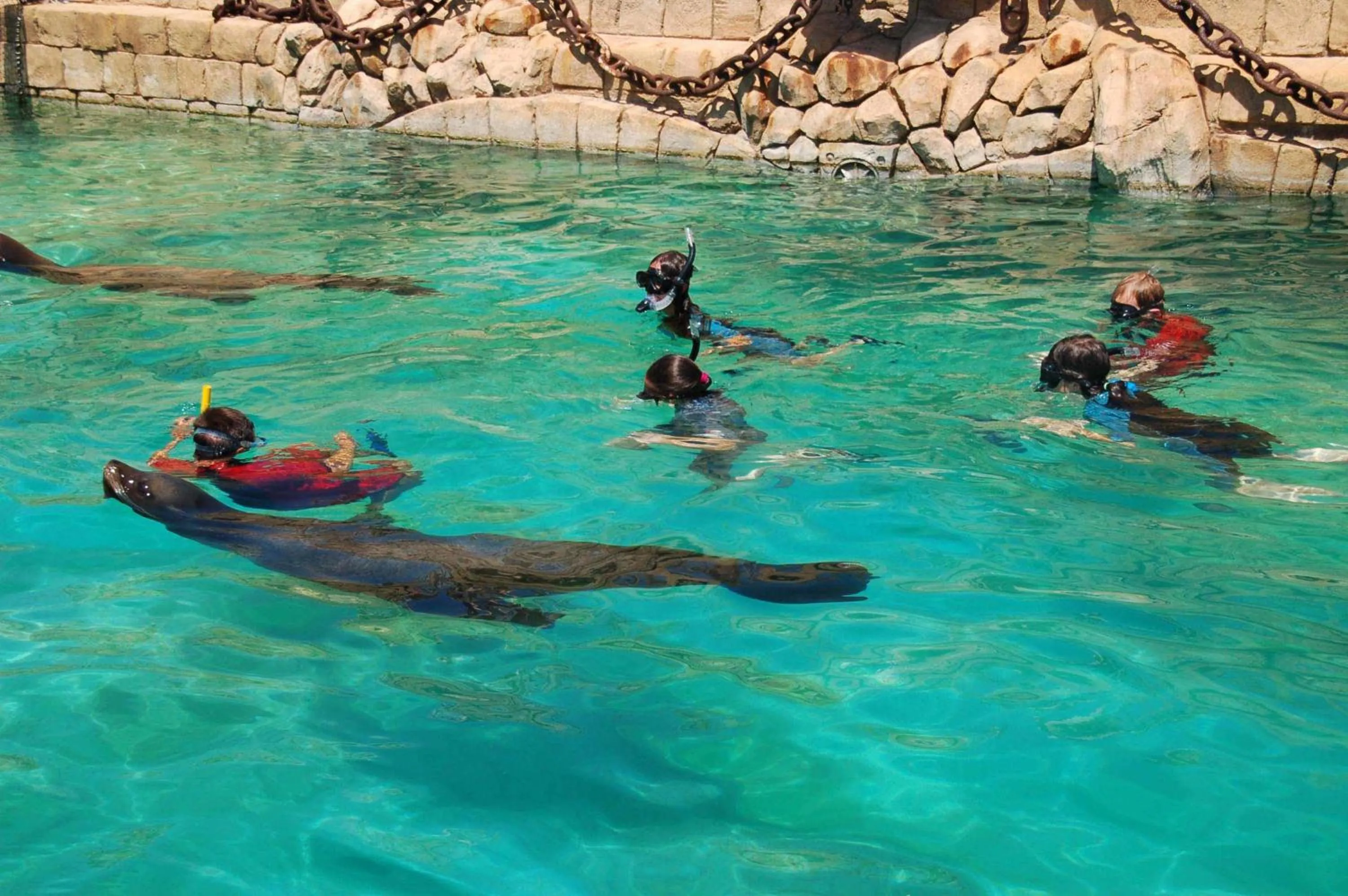 People in Magic Natura Resort