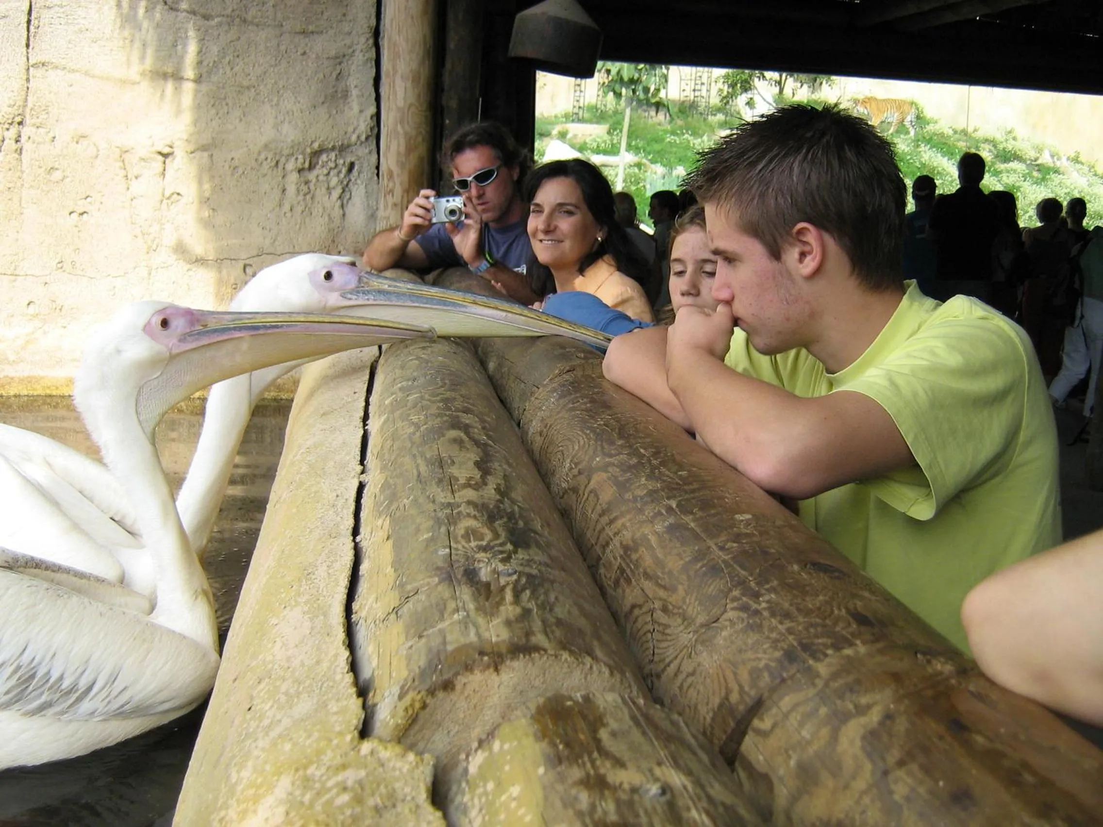 People in Magic Natura Resort