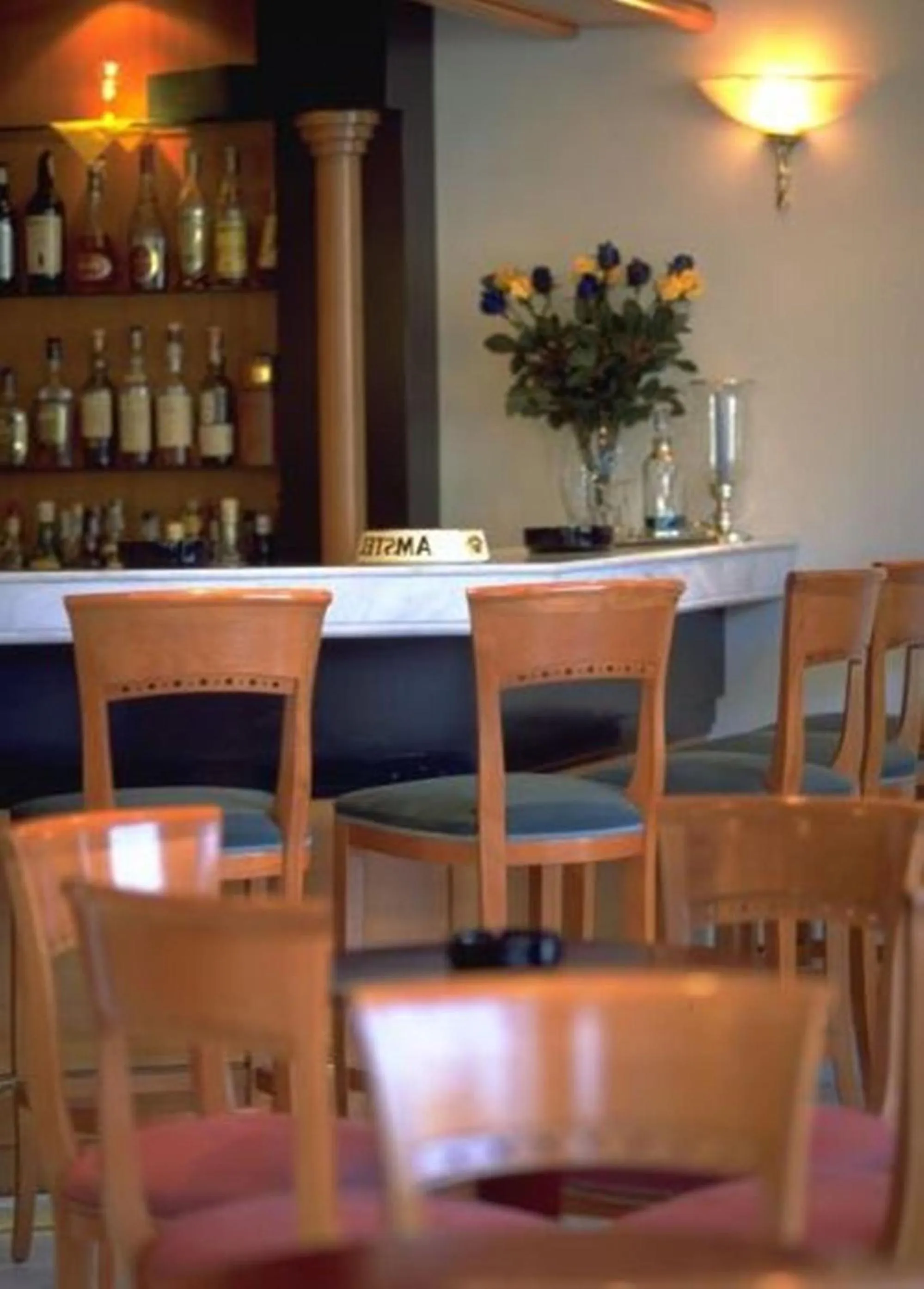 Lounge or bar in Hotel Elena