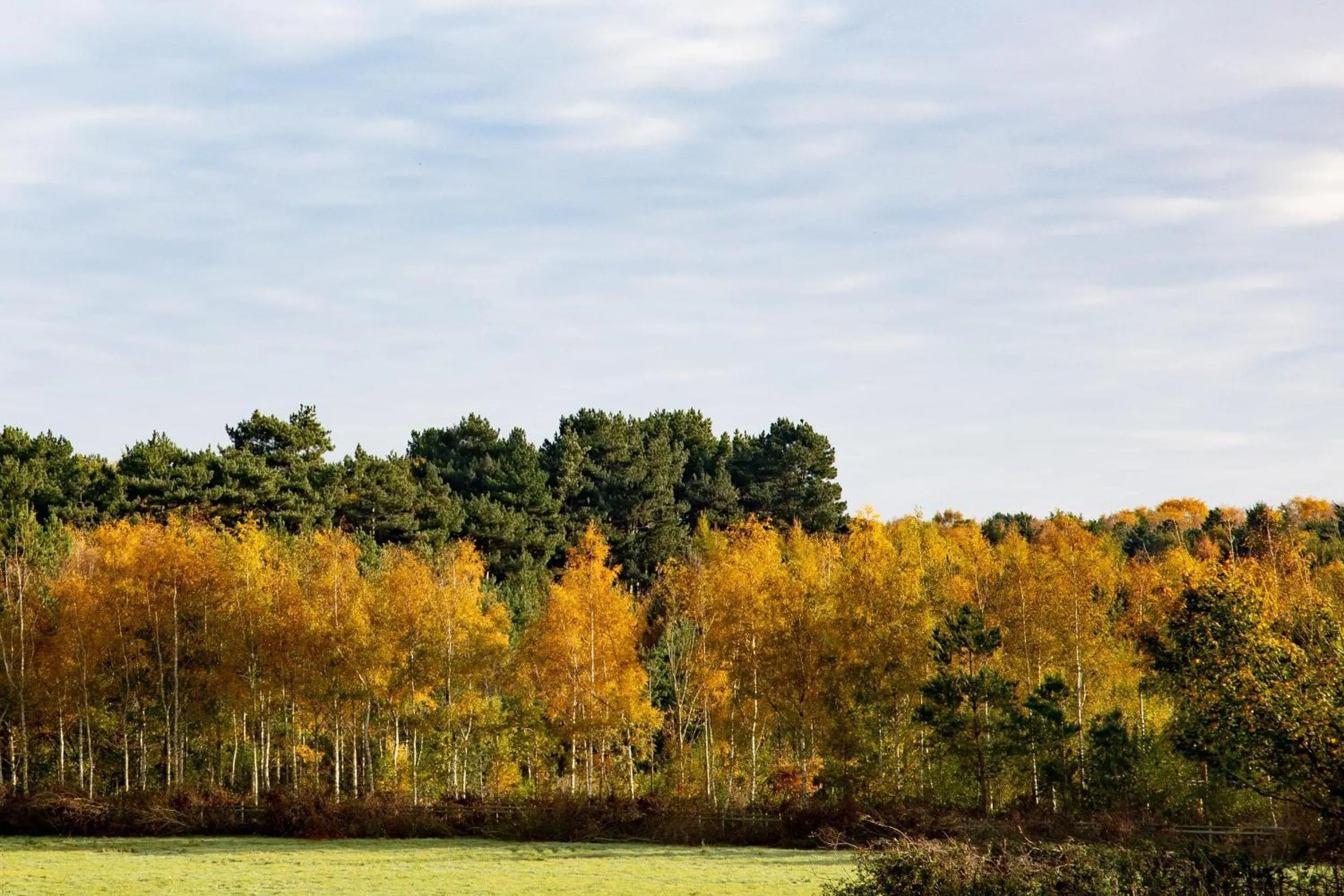 Nearby landmark in Crowne Plaza East Midlands Airport by IHG