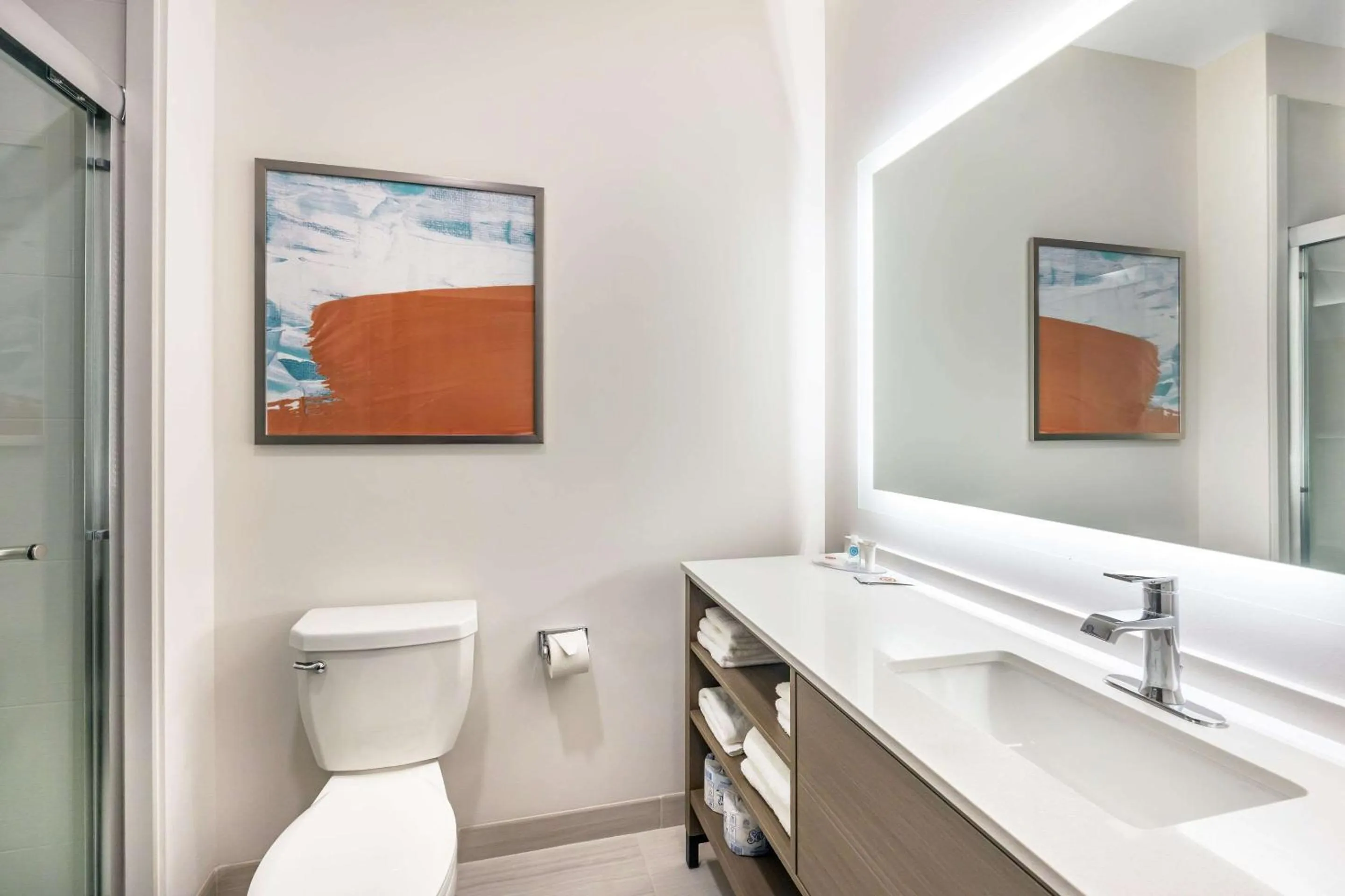 Bathroom in Comfort Inn & Suites Nashville Bellevue