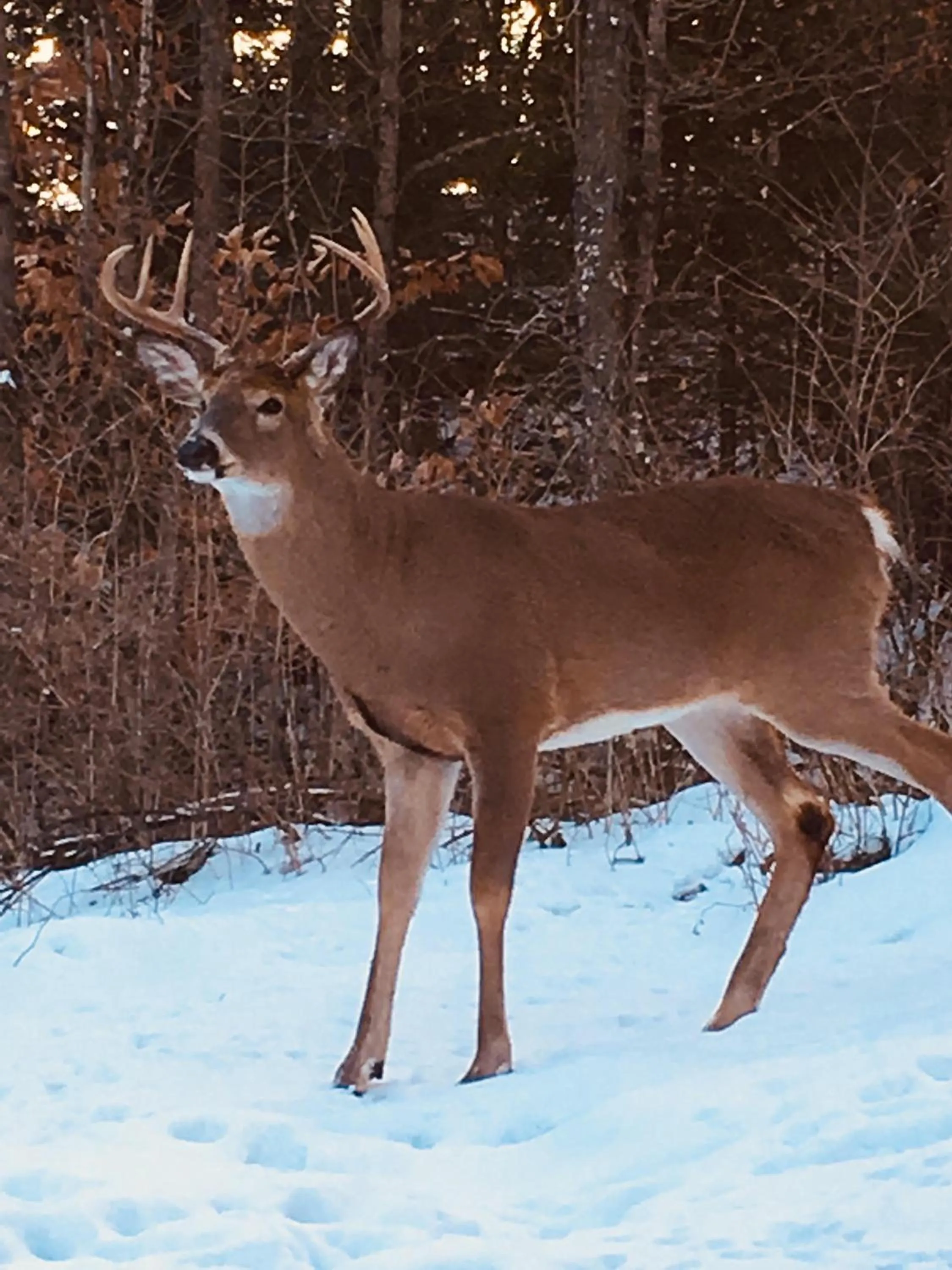 Natural landscape in Belle de Nuit