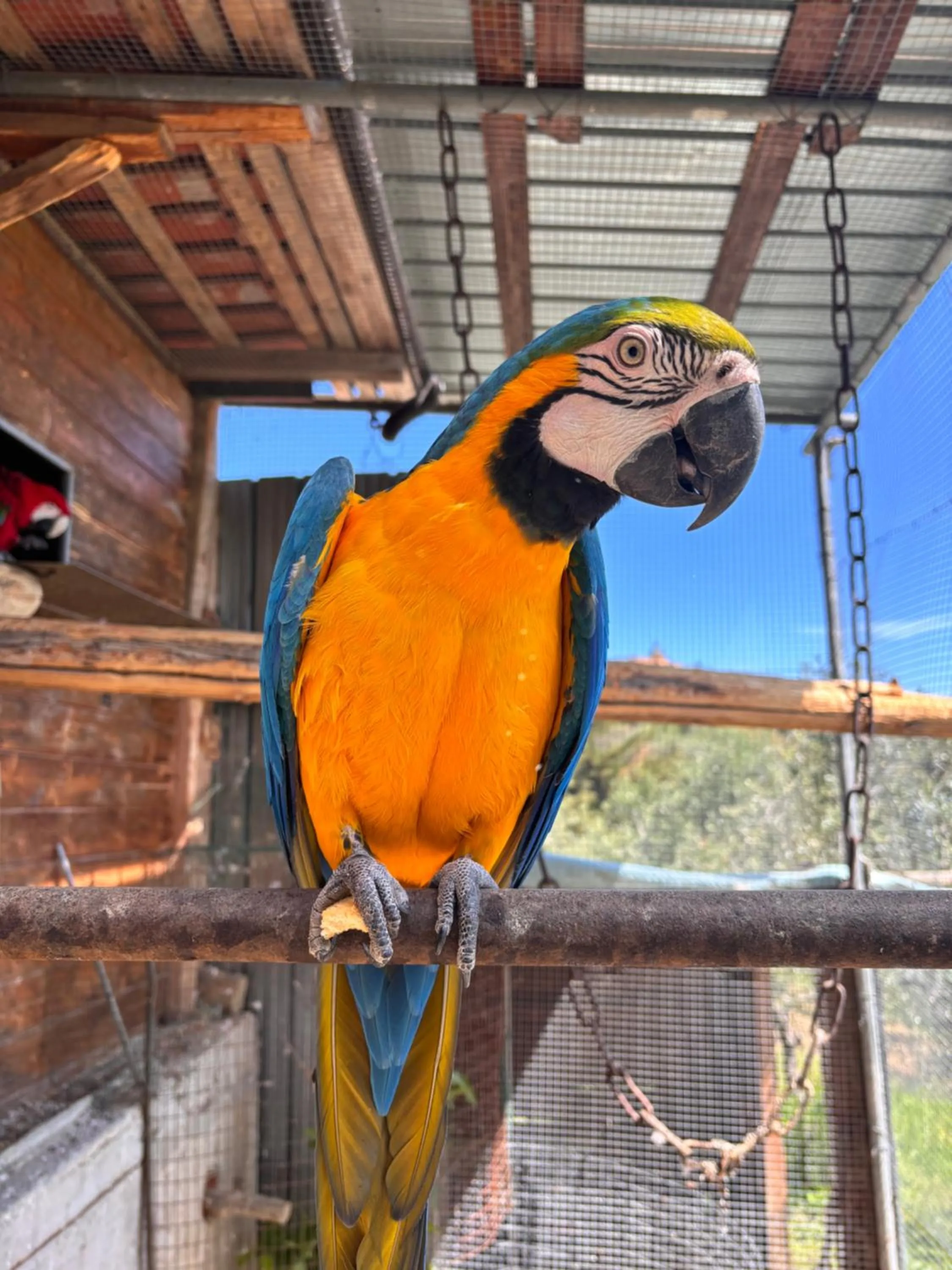 Casale delle Rose B&B Fattoria