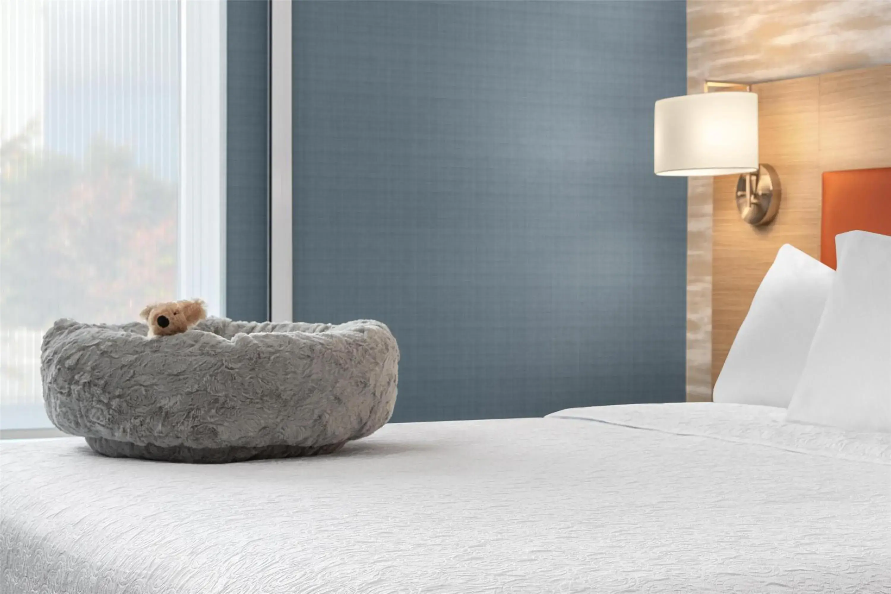 King Studio in Home2 Suites By Hilton Kitchener King Studio in Home2 Suites By Hilton Kitchener