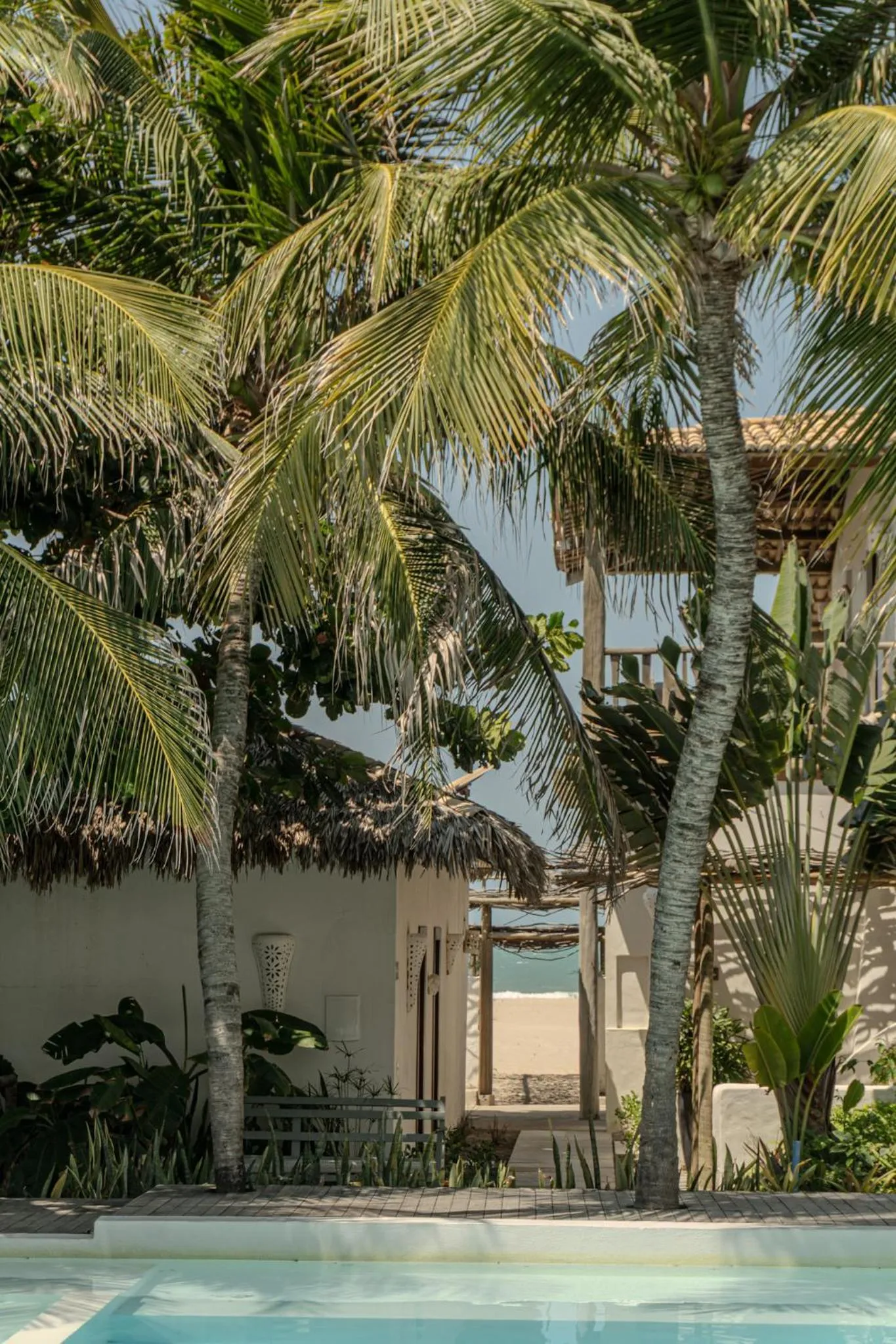 Garden in Zebra Boutique Hotel