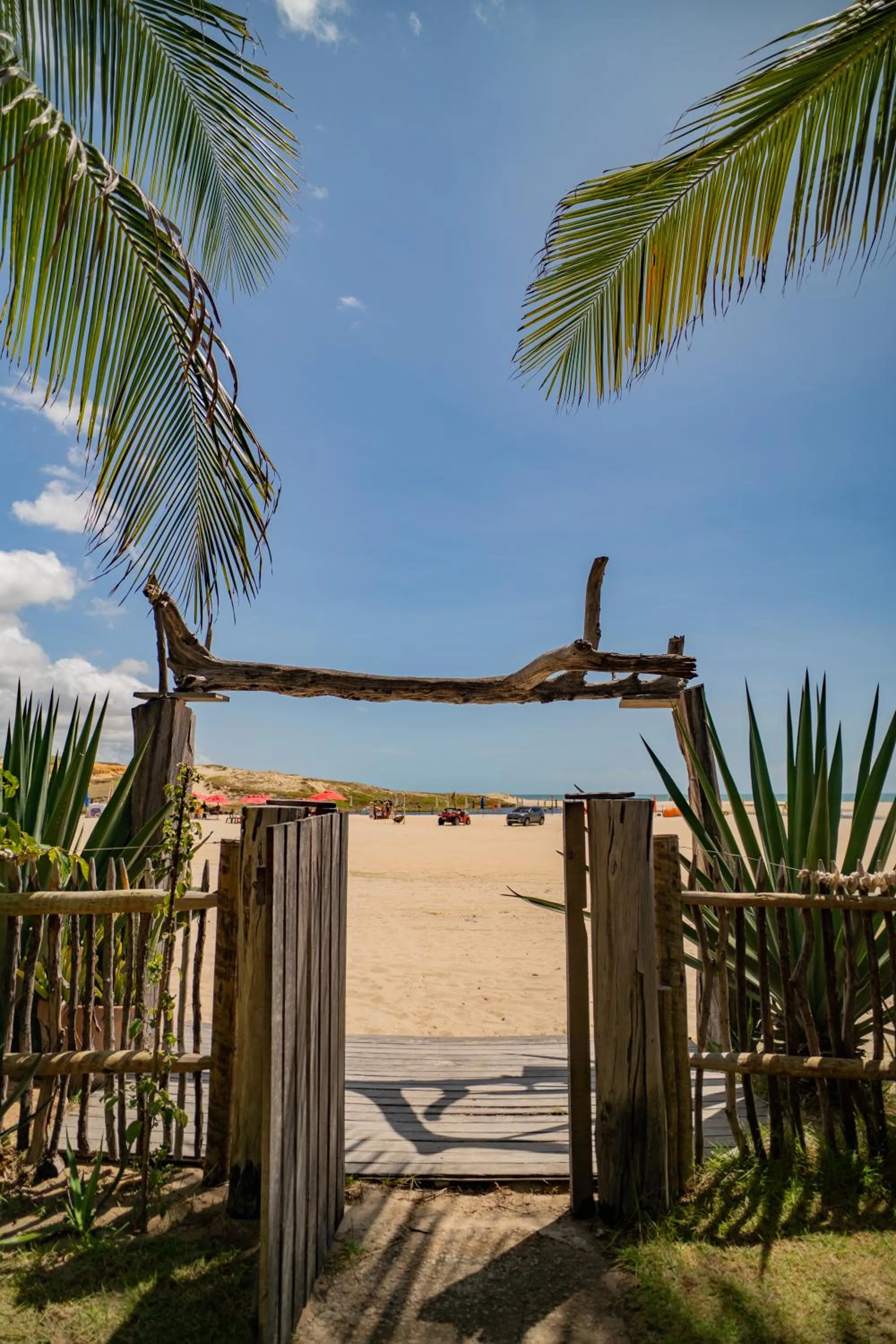 Natural landscape in Zebra Boutique Hotel