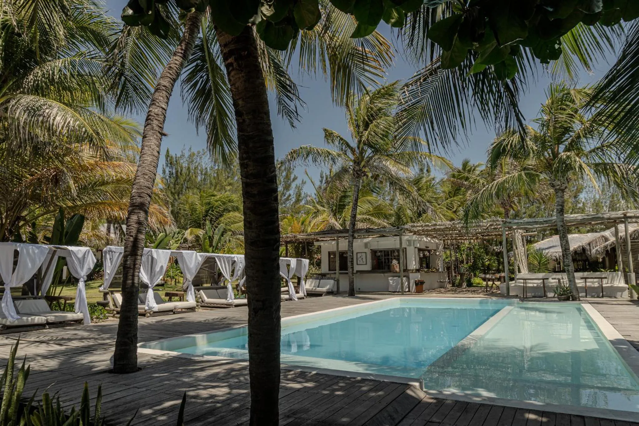 Pool view in Zebra Boutique Hotel