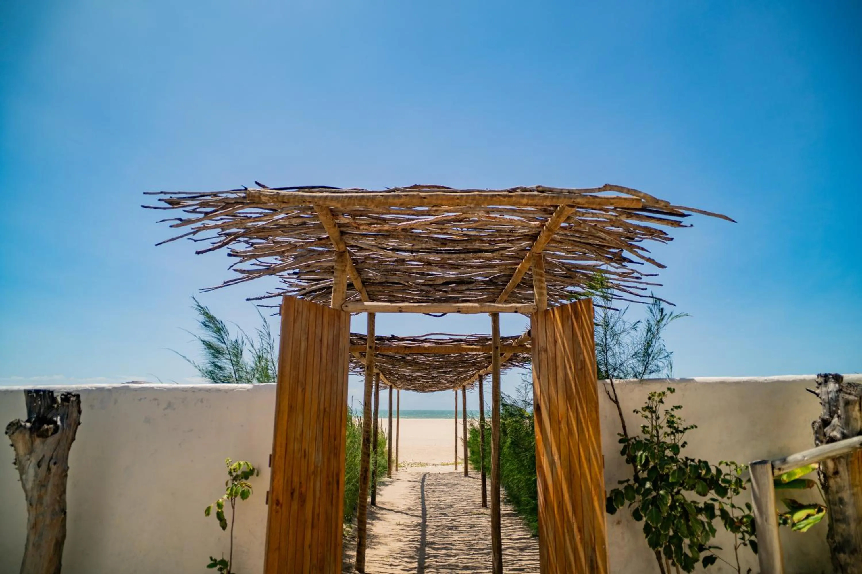 Day in Zebra Boutique Hotel