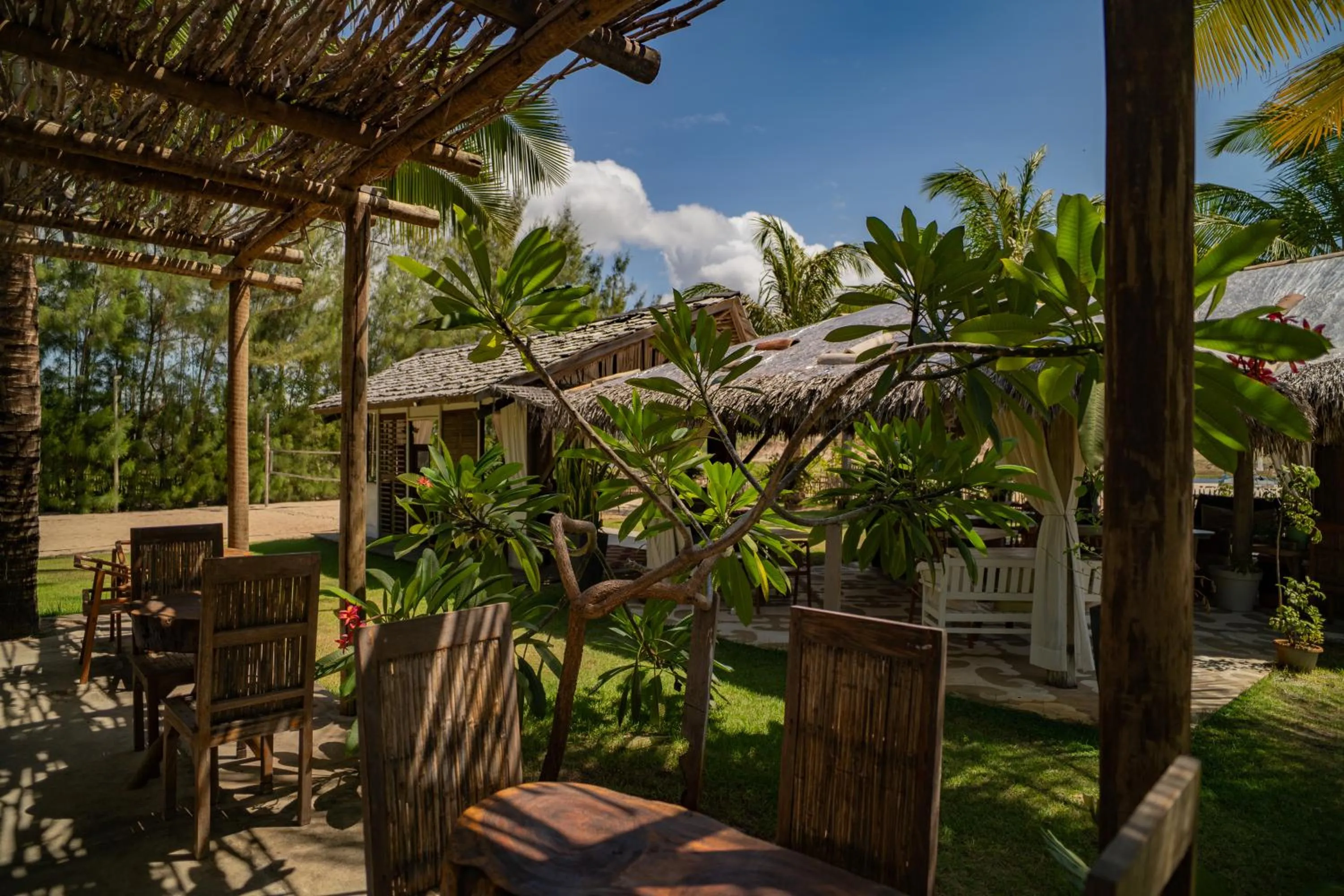 Garden in Zebra Boutique Hotel