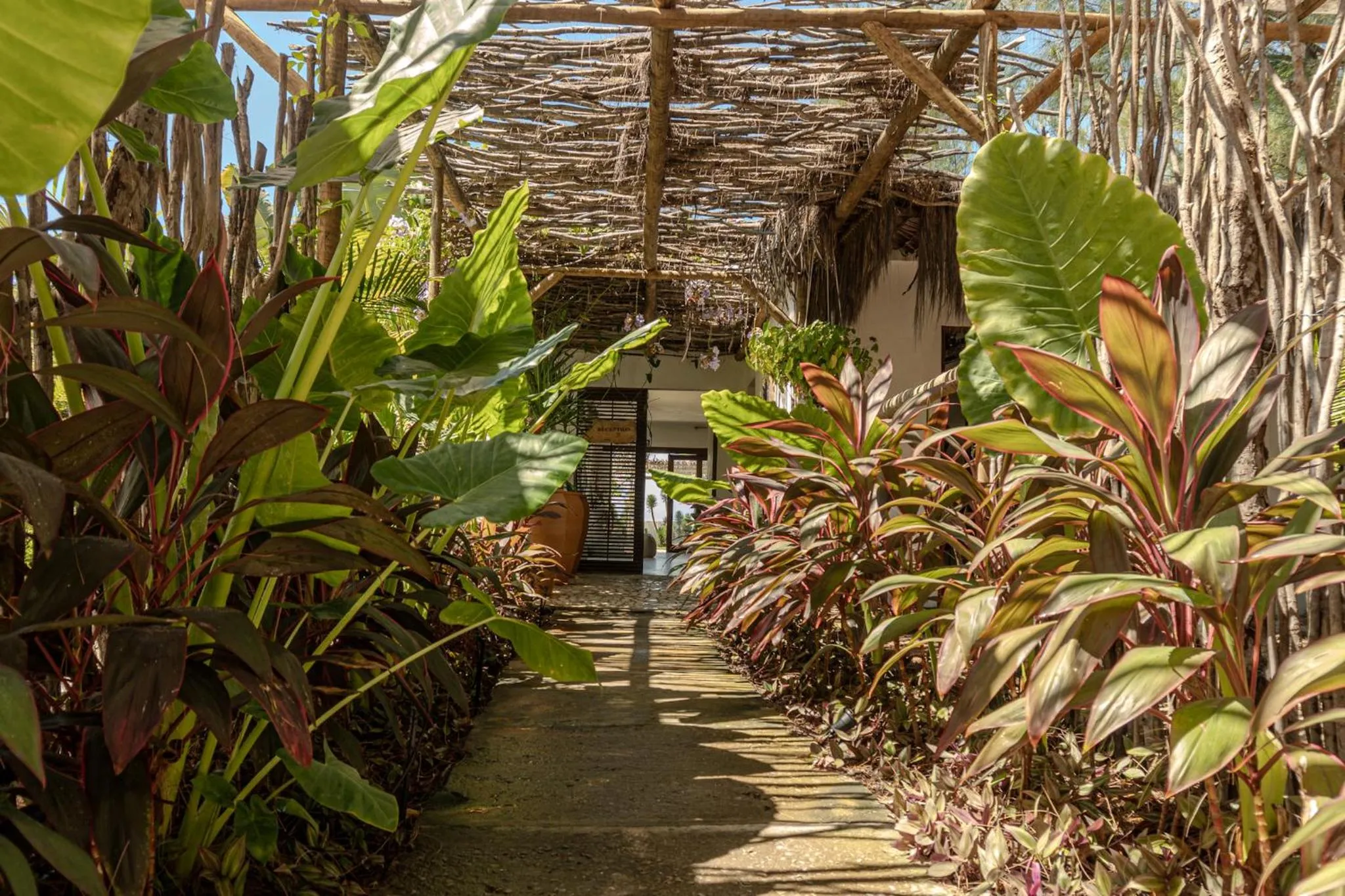 Natural landscape in Zebra Boutique Hotel