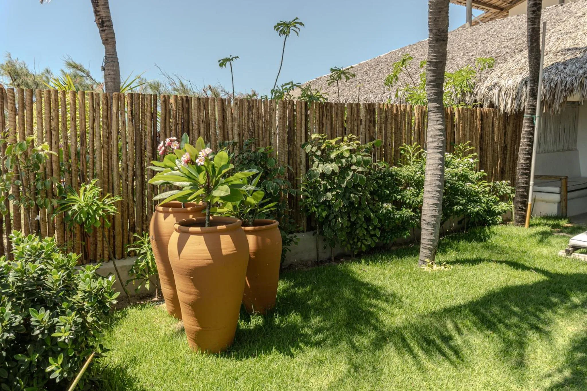 Garden in Zebra Boutique Hotel