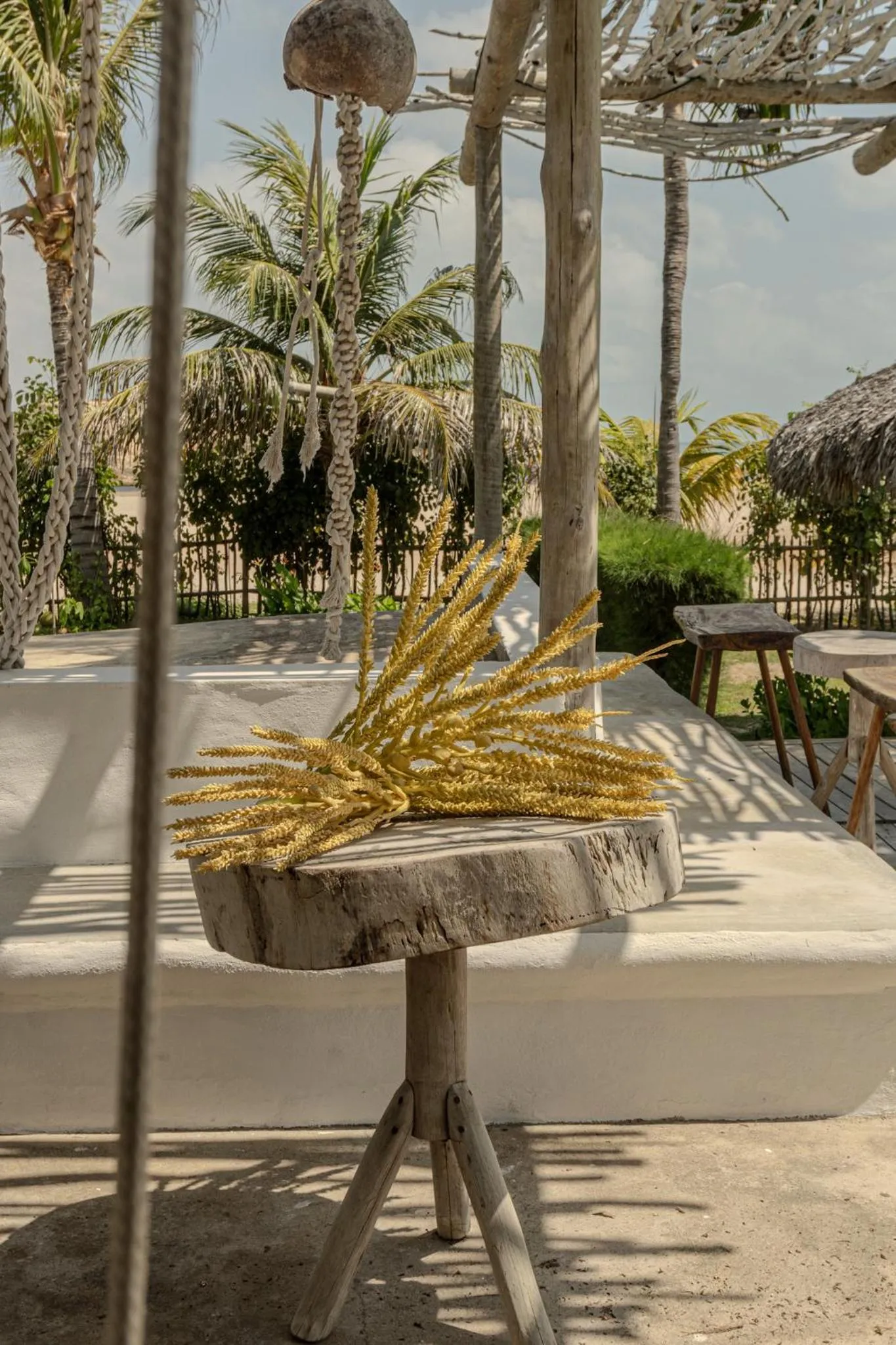 Garden in Zebra Boutique Hotel