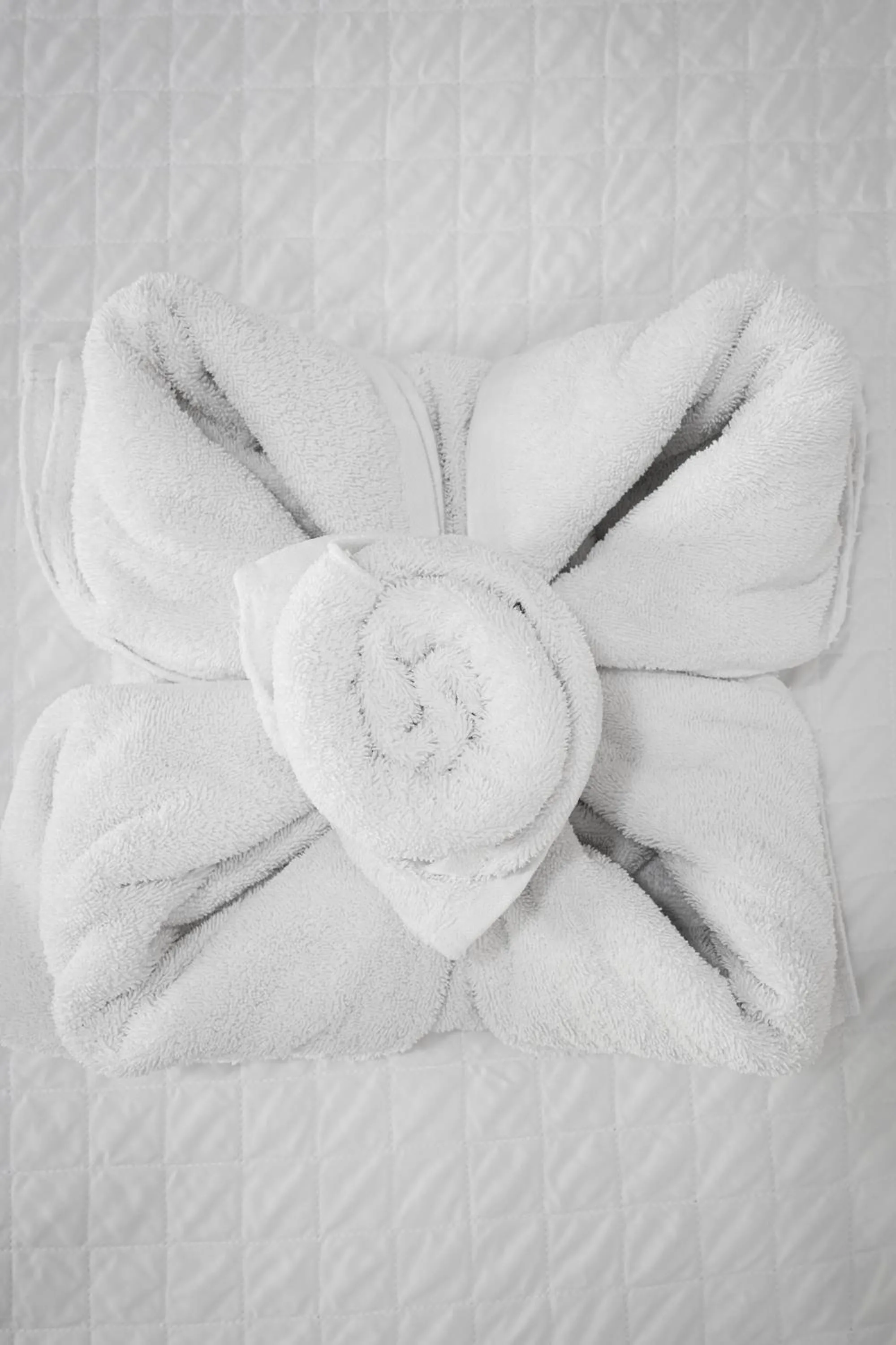 Bed in La Peregrina Galapagos B&B