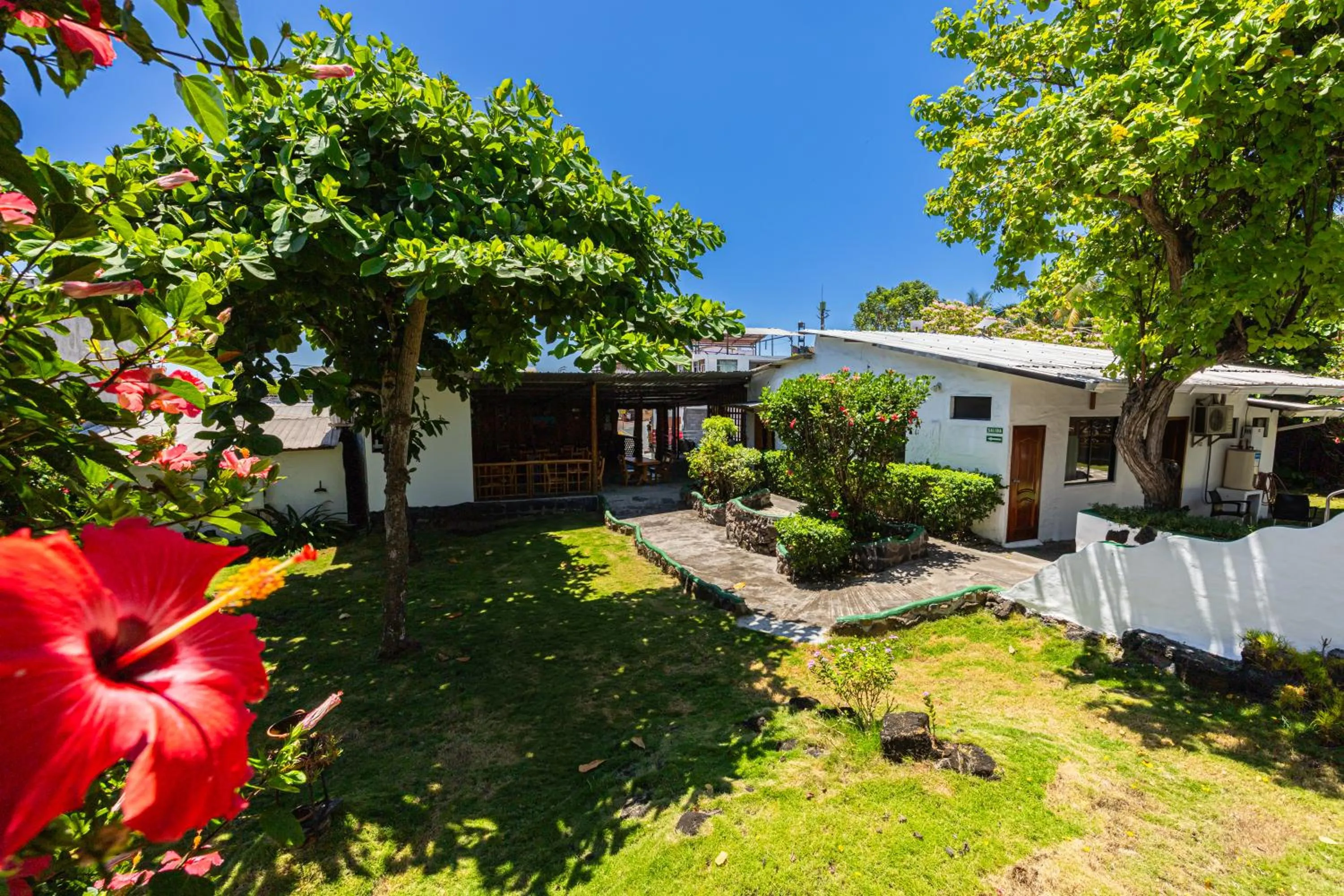 Garden view in La Peregrina Galapagos B&B
