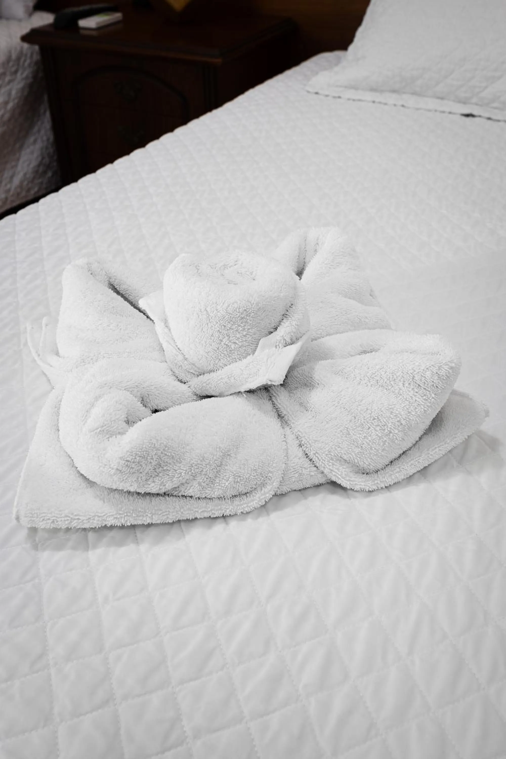 Bed in La Peregrina Galapagos B&B