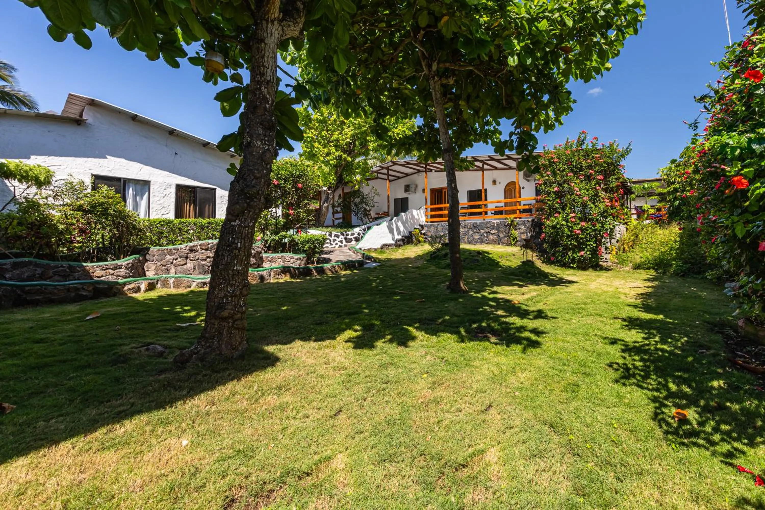 Garden in La Peregrina Galapagos B&B