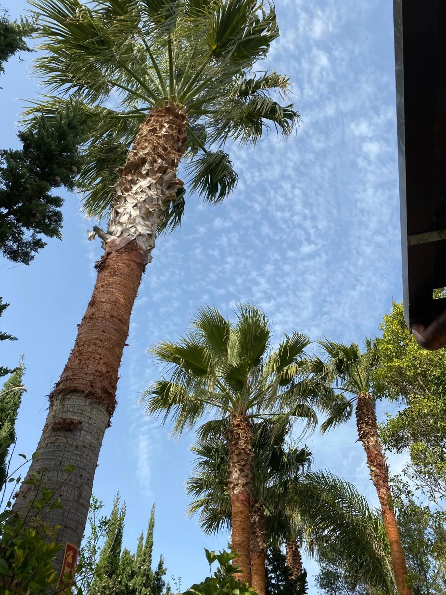 Garden in Hotel La Torre
