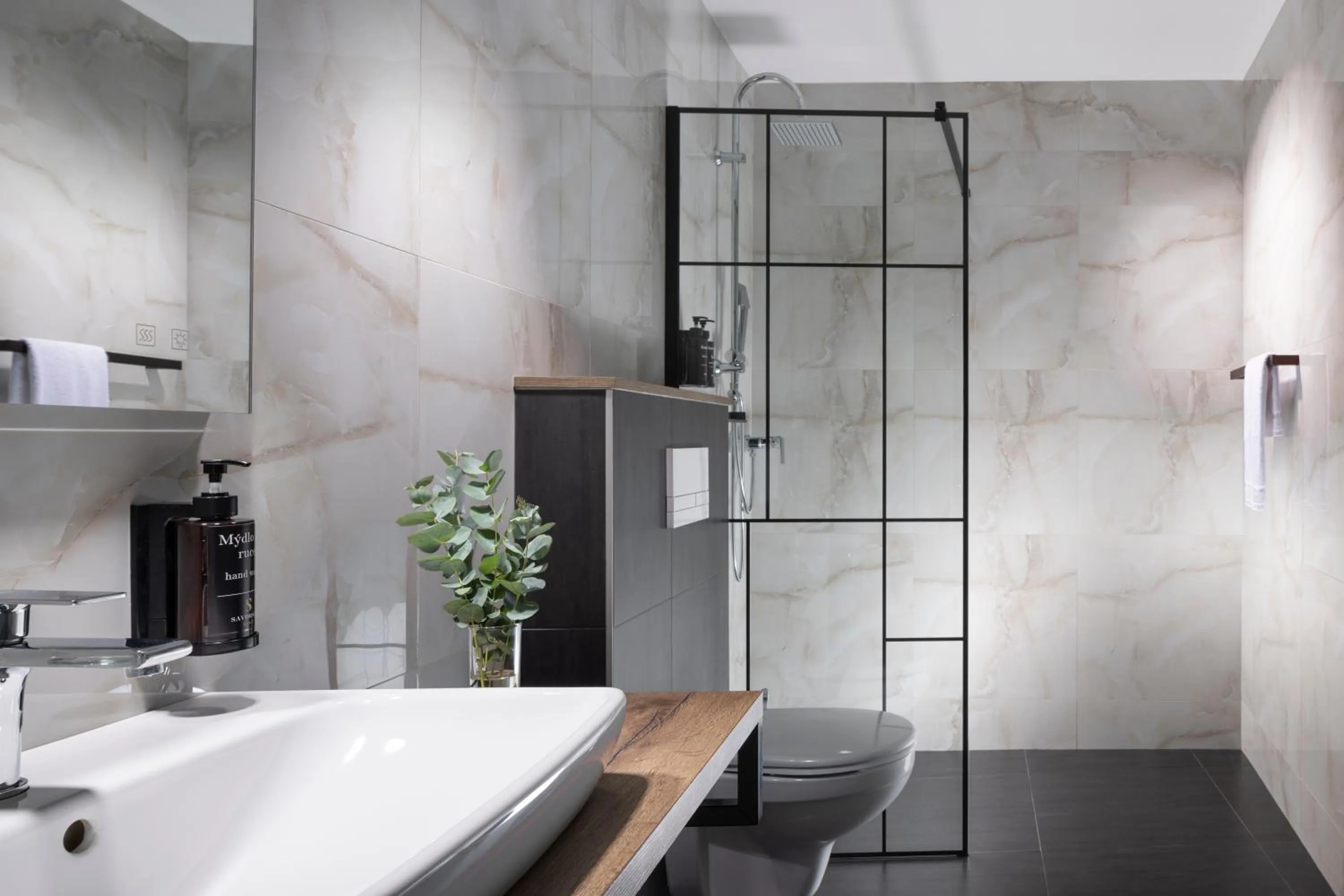 Shower in Hotel Savorsky