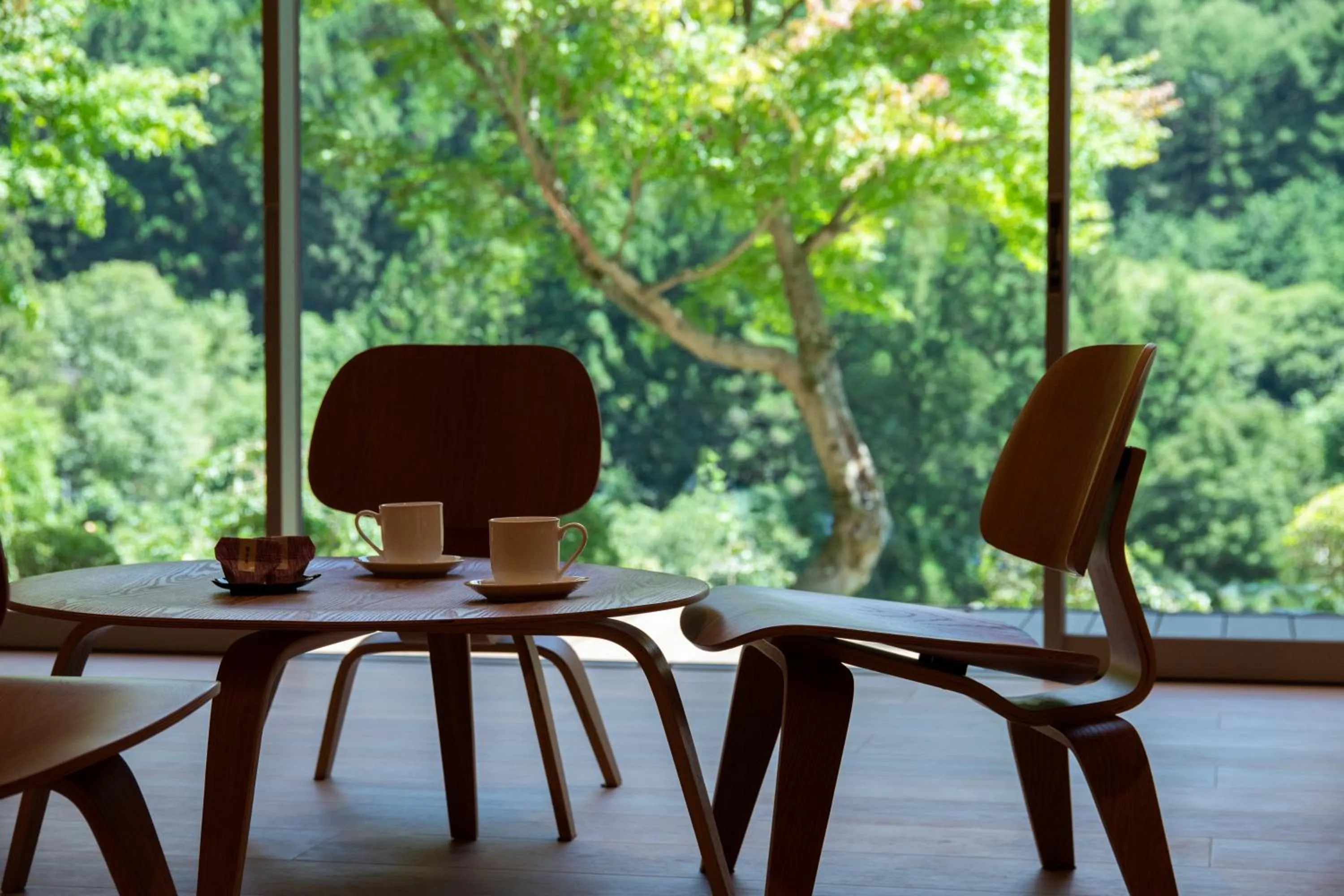 Photo of the whole room in Kinshuusanso