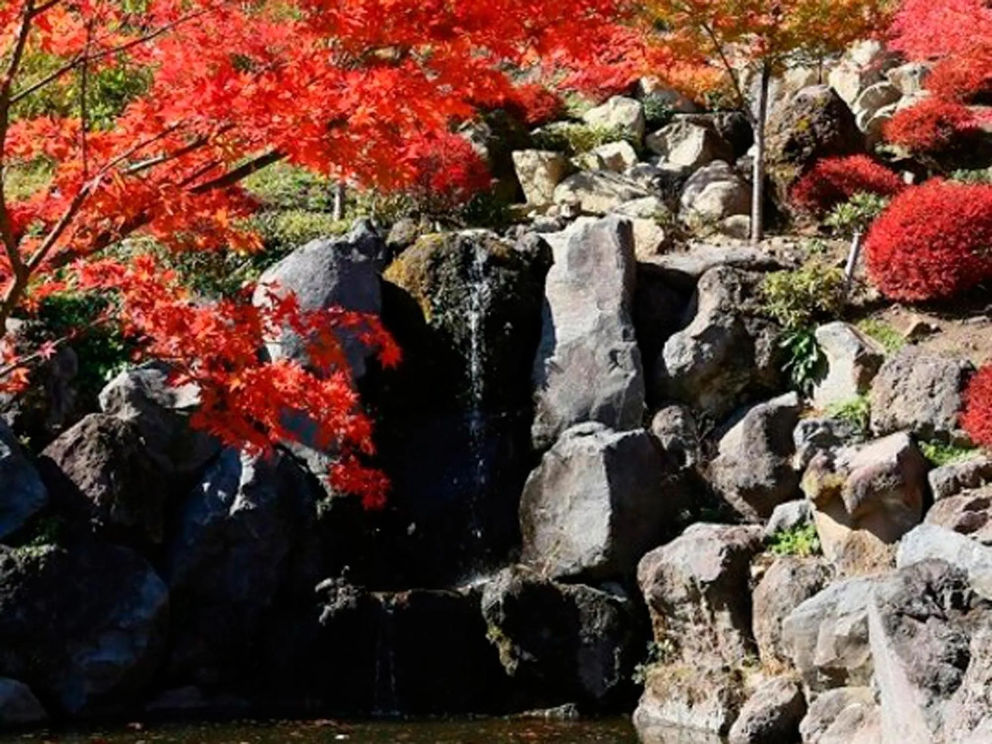 Natural landscape in Kinshuusanso