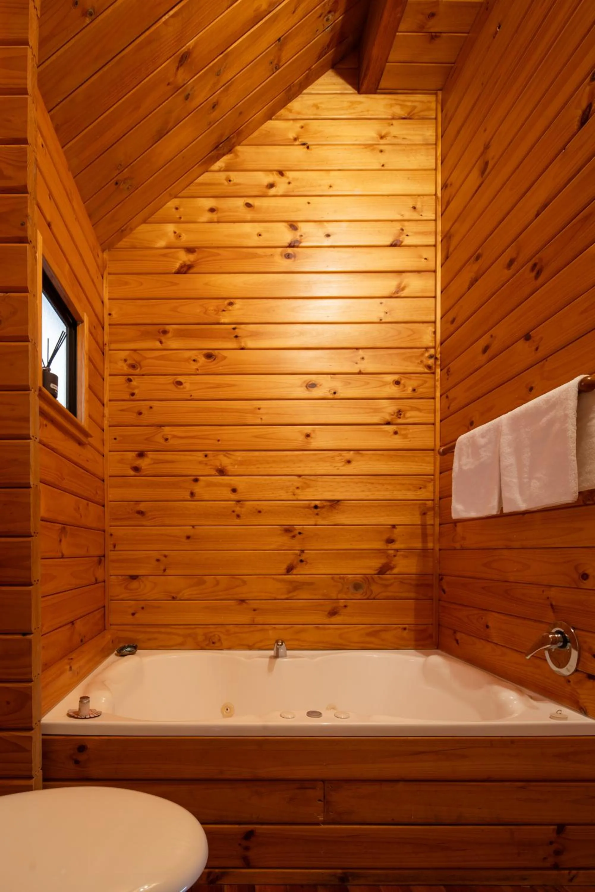 Bathroom in Fox Glacier Lodge