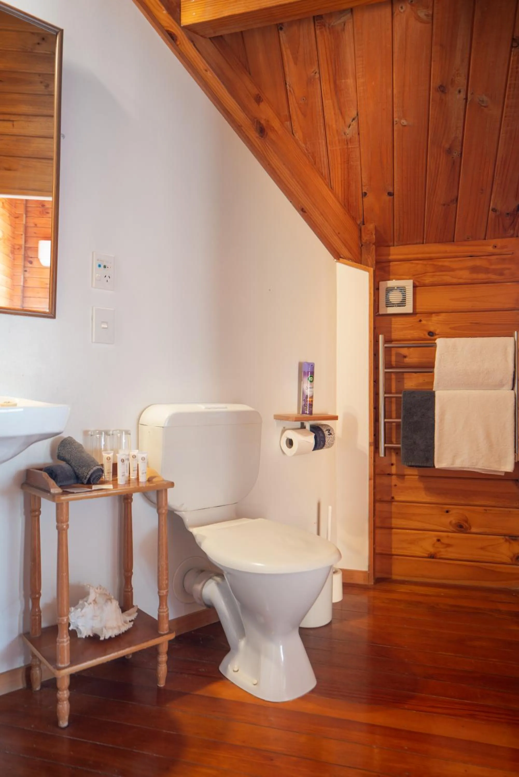 Toilet in Fox Glacier Lodge