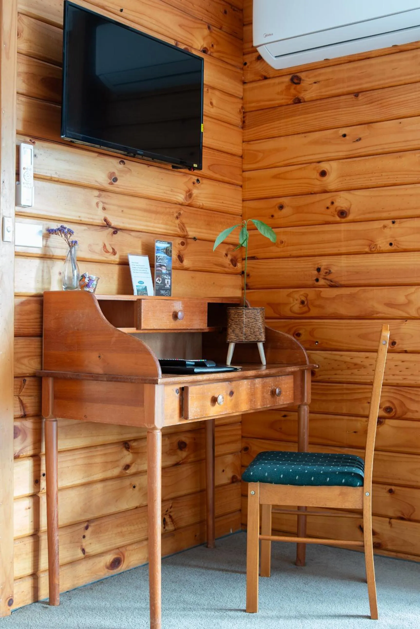 TV and multimedia in Fox Glacier Lodge