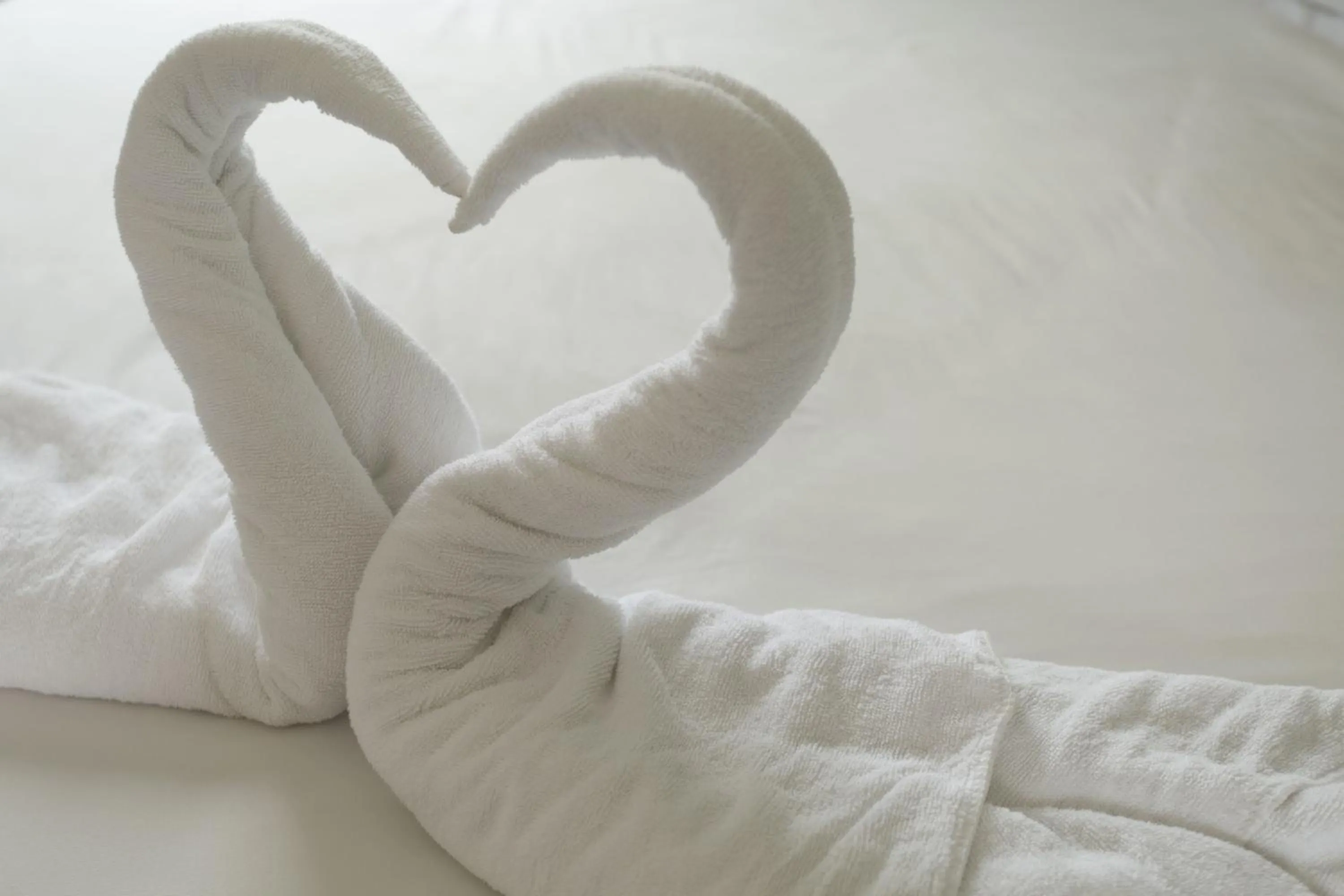 Bedroom, Bed in Paripas Express Patong