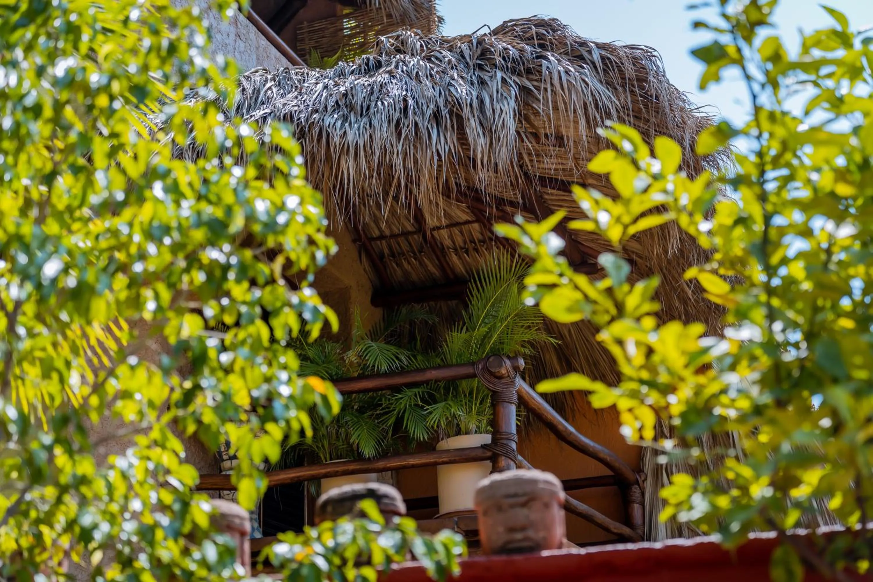Garden view in Ensueño de Fuga