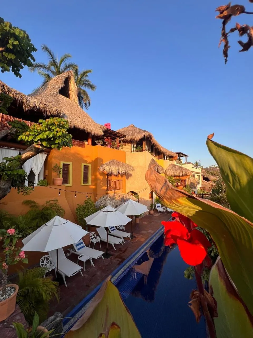 Patio in Ensueño de Fuga