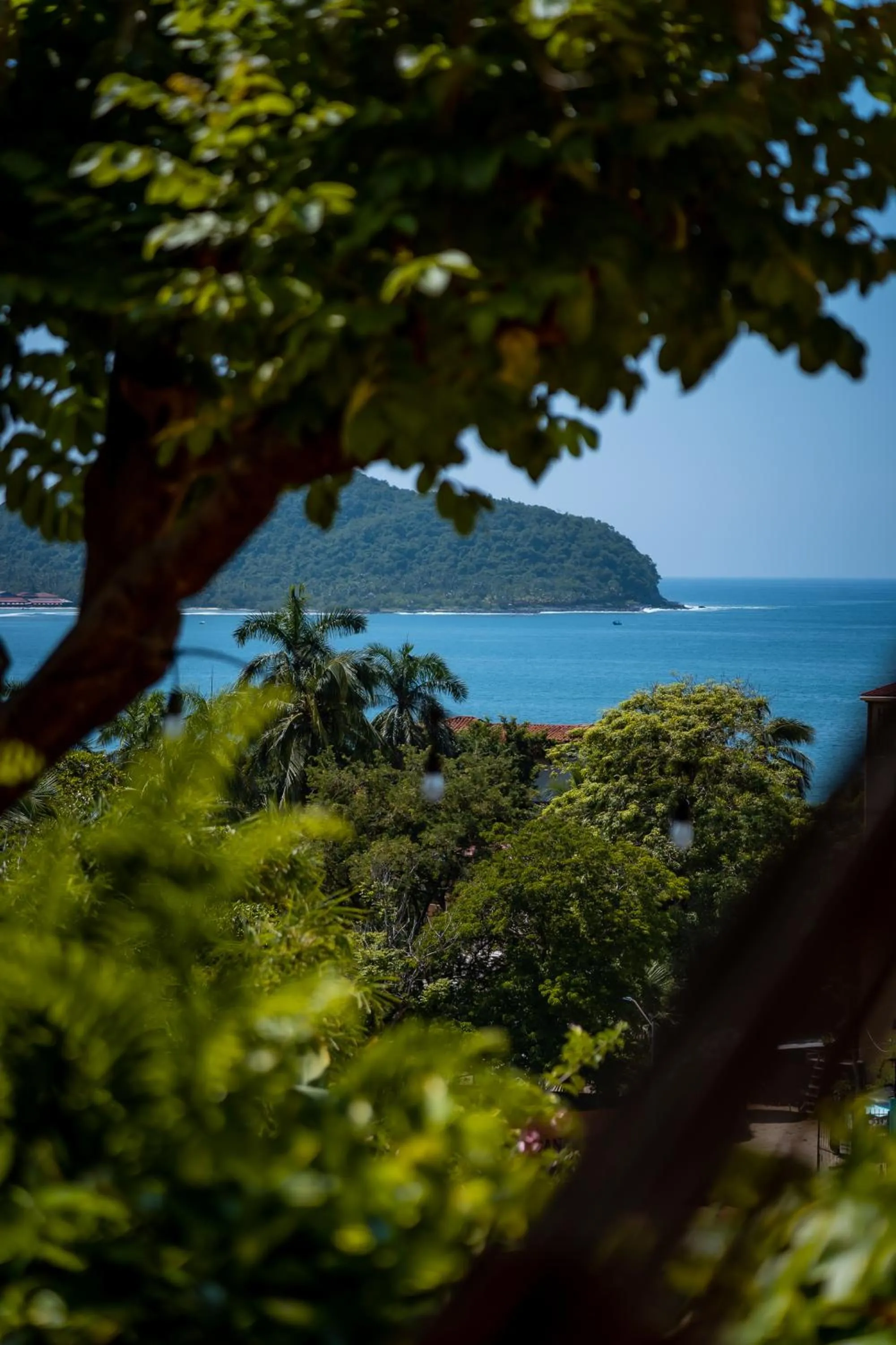 Spring in Ensueño de Fuga