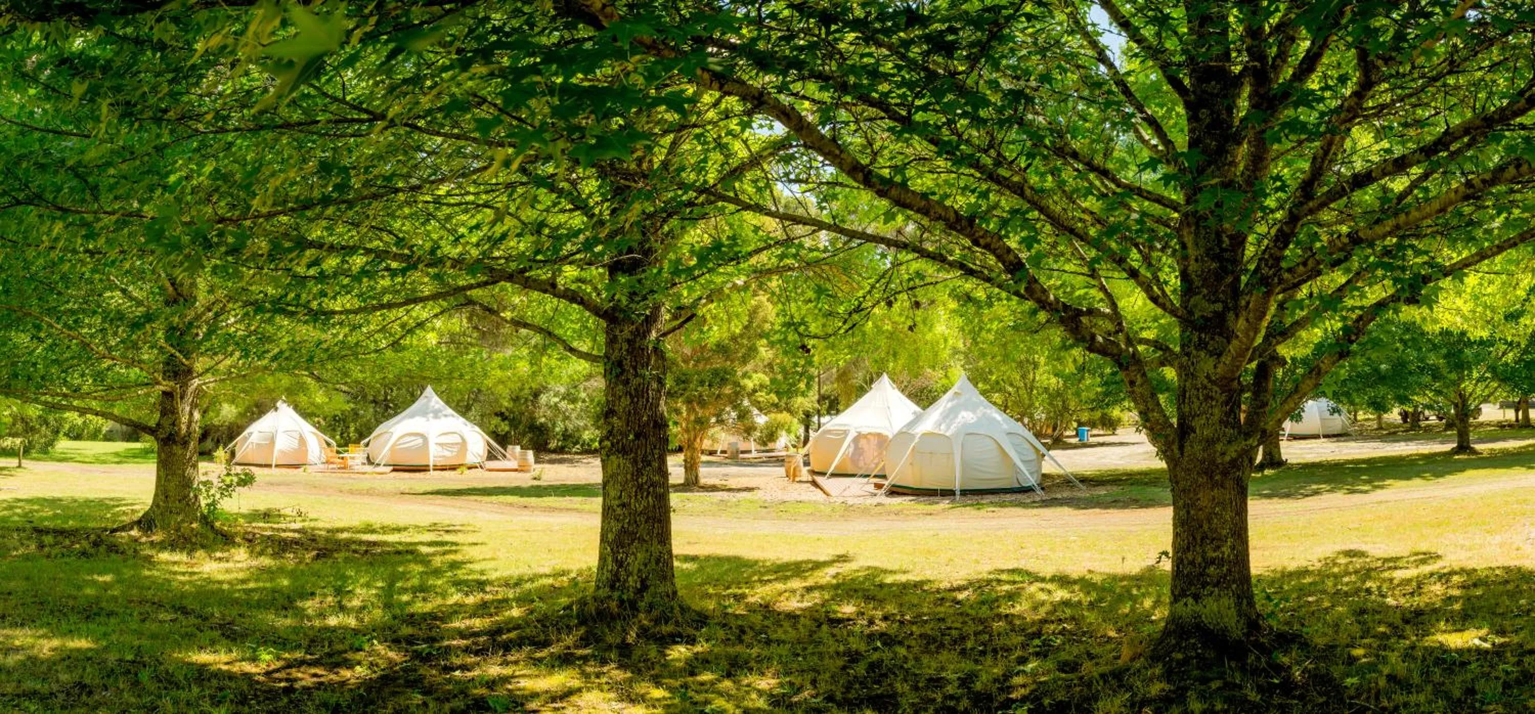 BIG4 Yarra Valley Park Lane Holiday Park