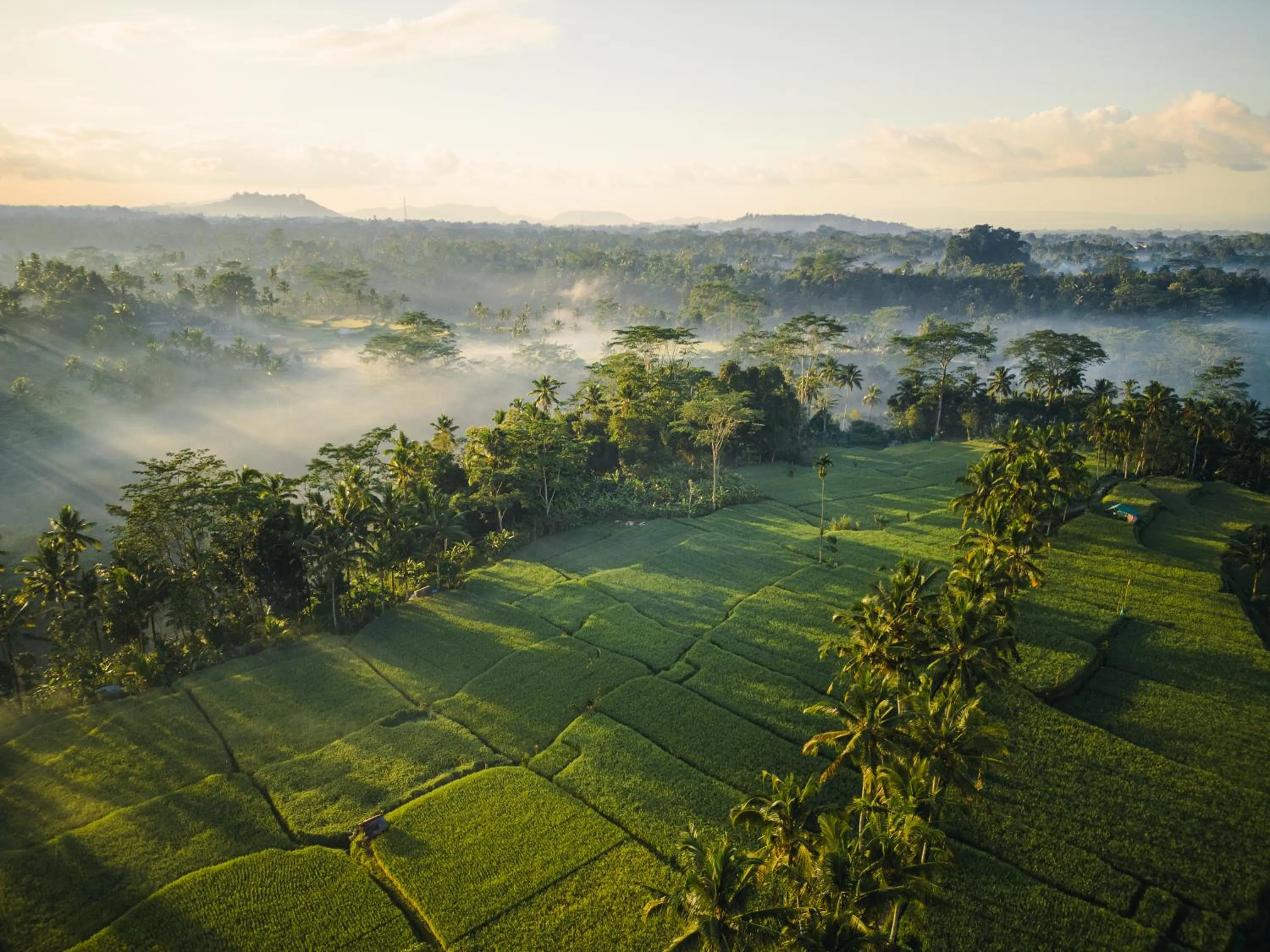 Nearby landmark in Ubud Mas Glamping Luxury Tent