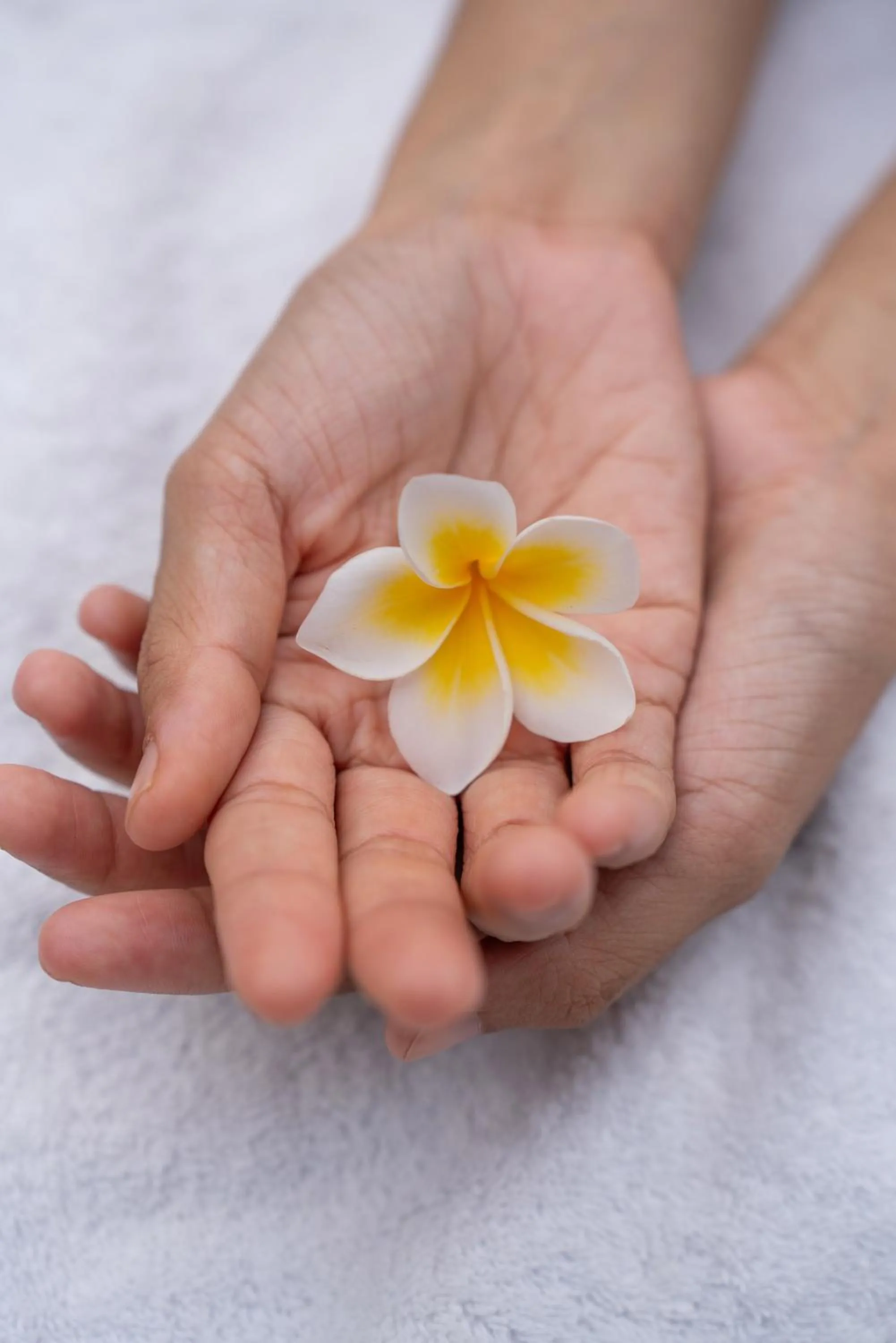 Spa and wellness centre/facilities in Ubud Mas Glamping Luxury Tent