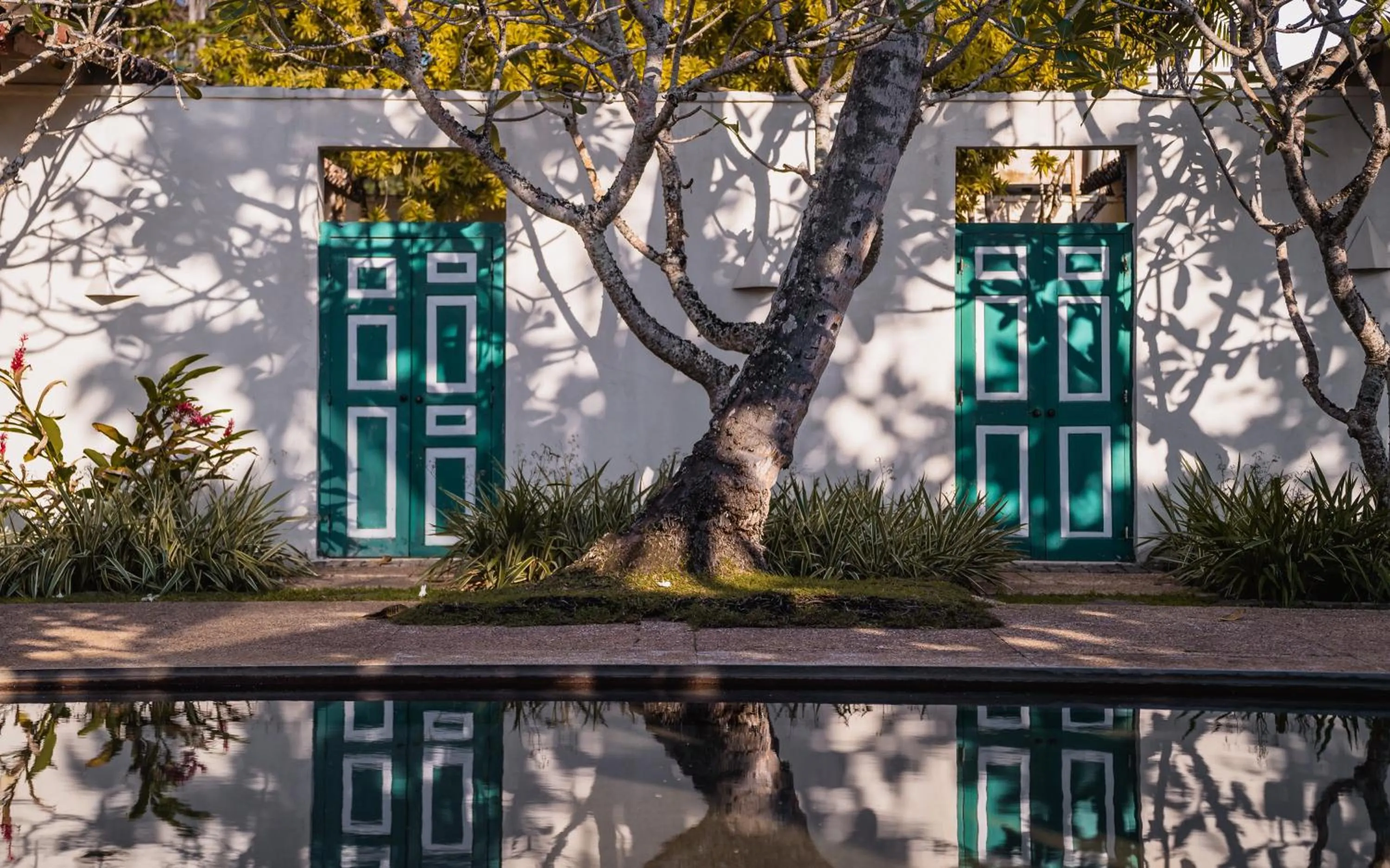 Property building in Elysium